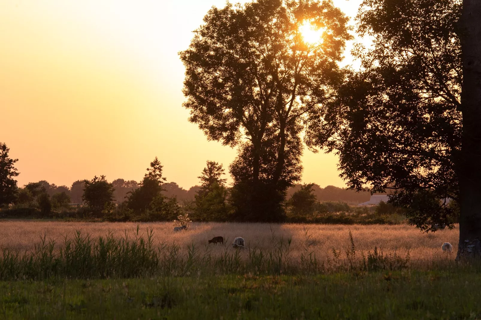 Acker Lodges 4-Uitzicht zomer