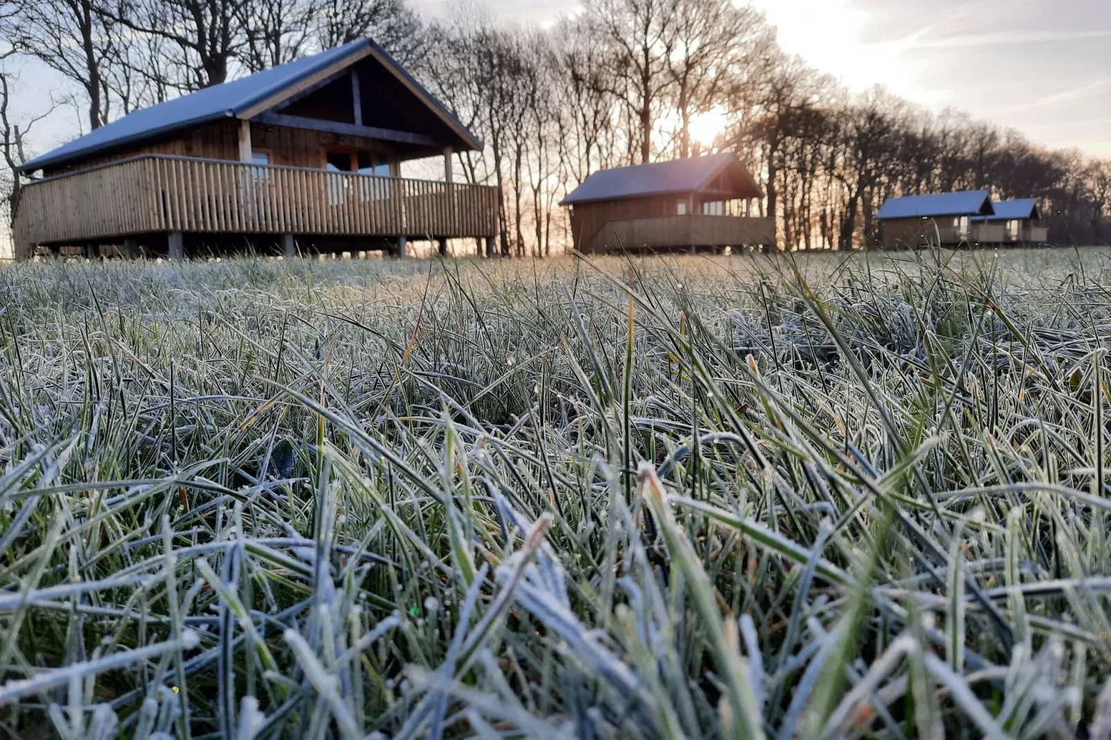 Acker Lodges 4-Uitzicht zomer