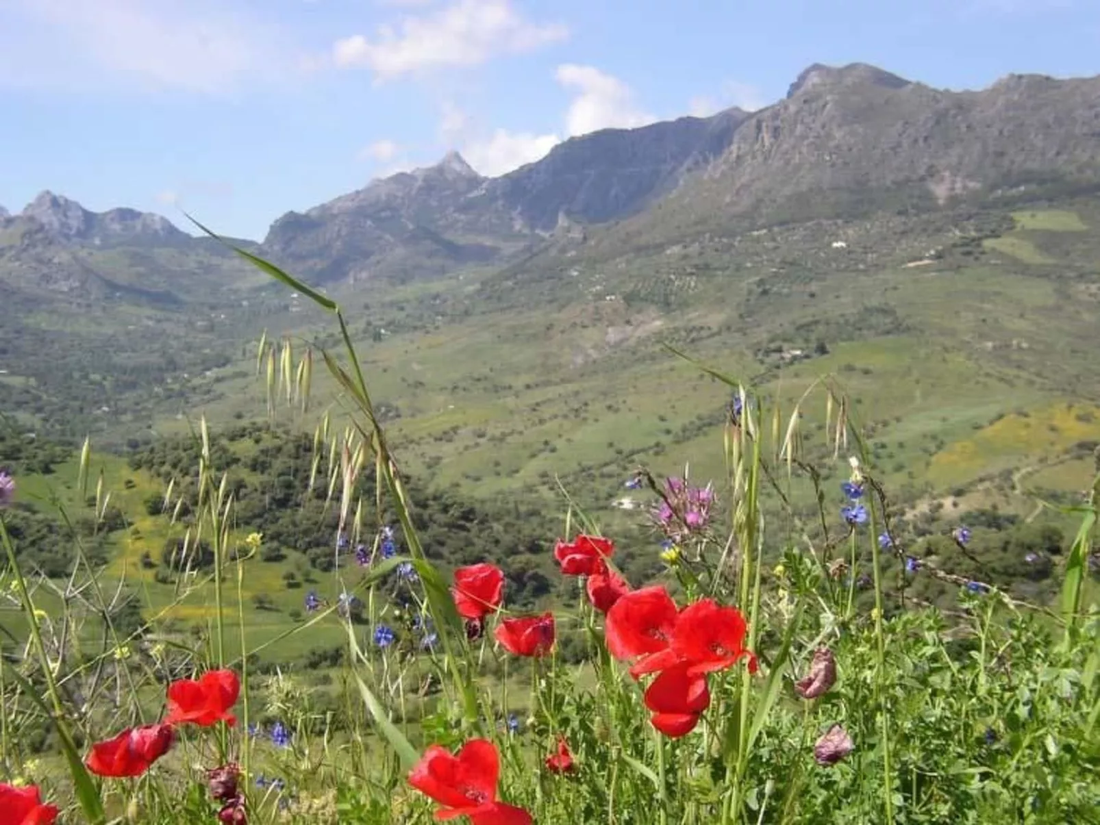 Mit Terrasse in der Nähe eines Wasserfalls - Buiten