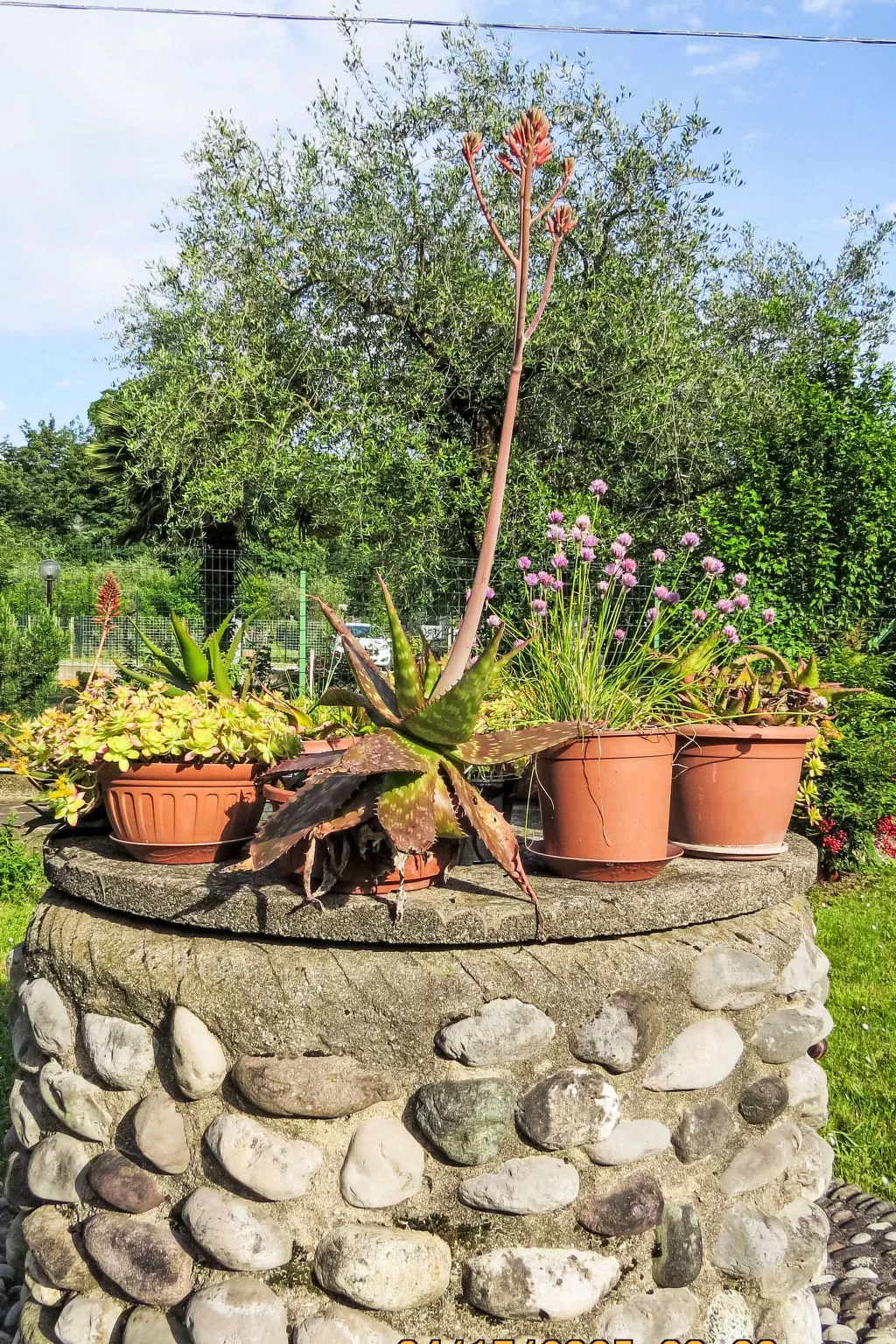 Villa im Grünen in Riva del Garda mit Garten - Buiten