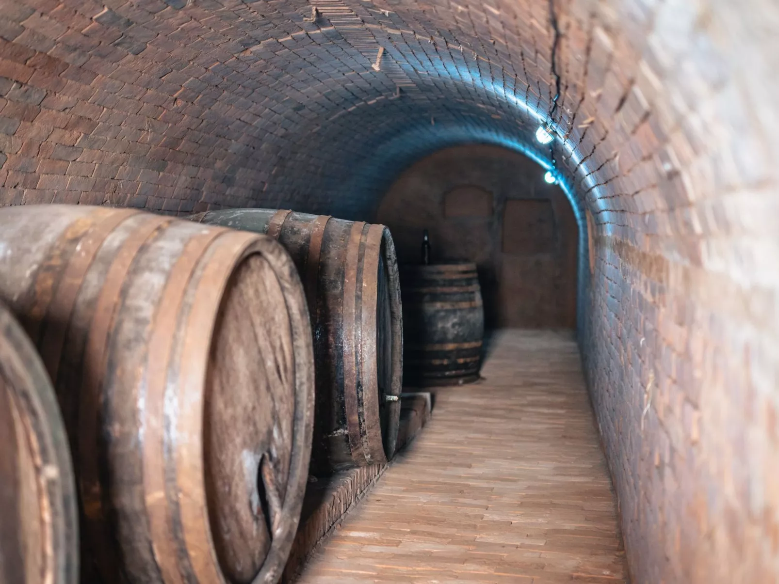 Weinfass-Suite für 4 Personen in Grub an der Mar - Buiten