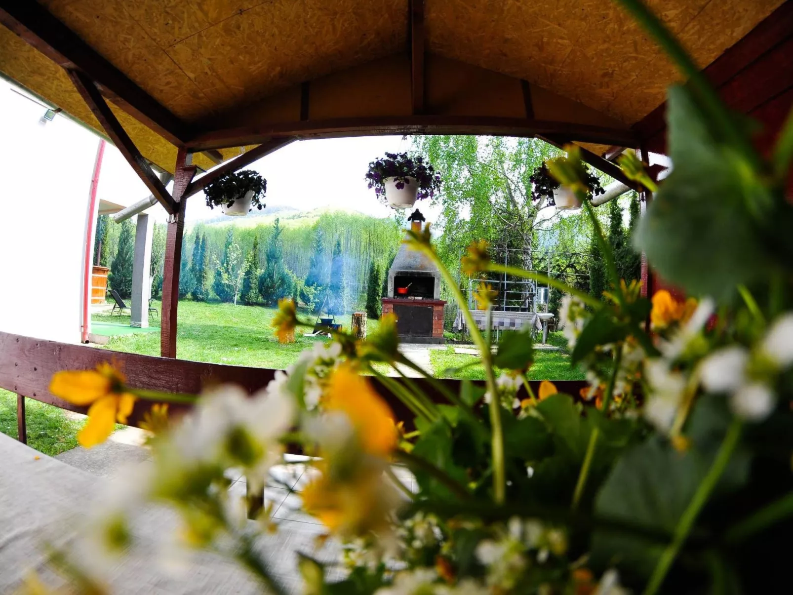 Vila Roberta Breaza Brasov - Image-tags.info