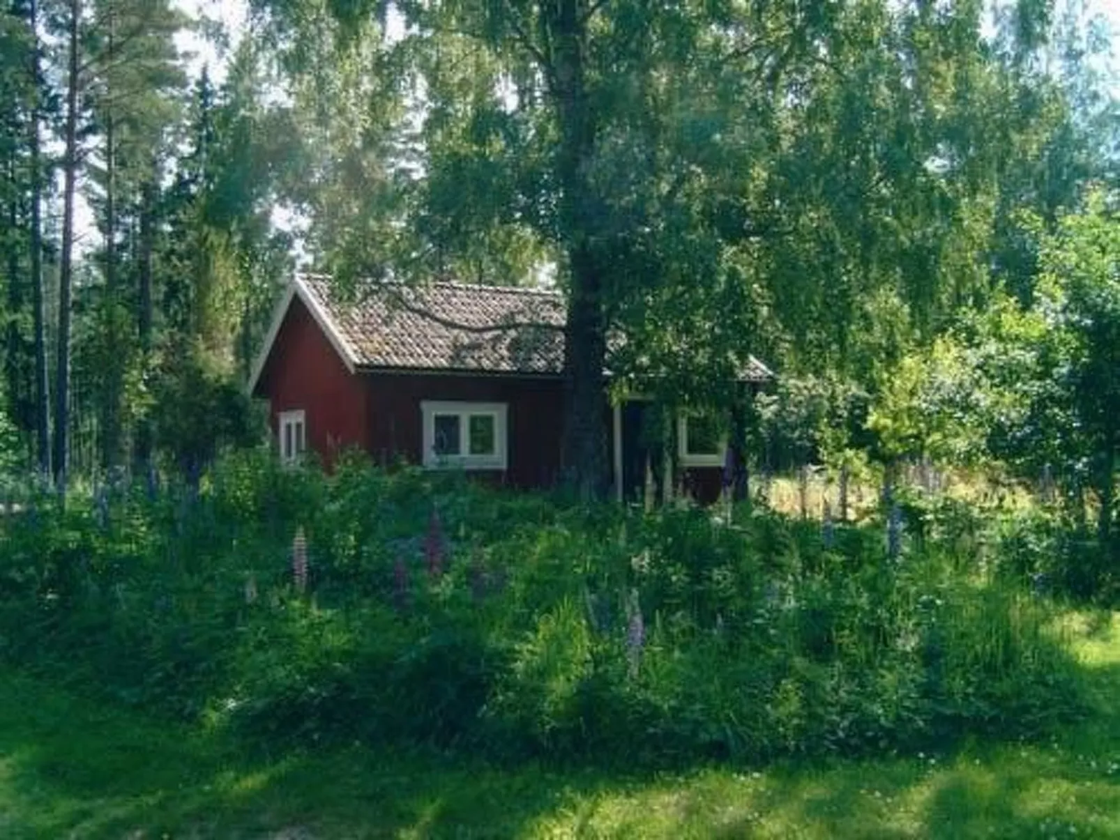 Am See Skagern - Image-tags.info