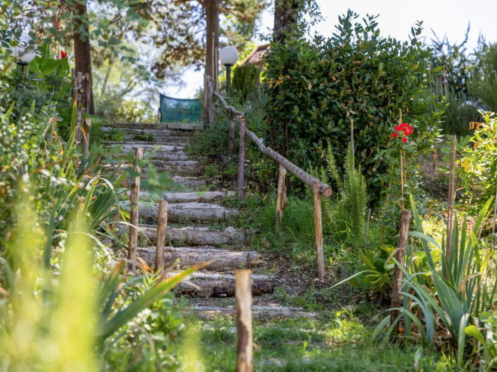 La Pineta Holiday Homes - Buiten