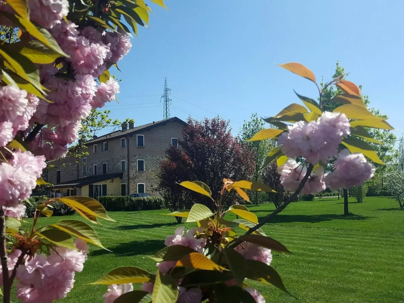 Wohnung "Angelica" auf einem Bauernhof - Buiten