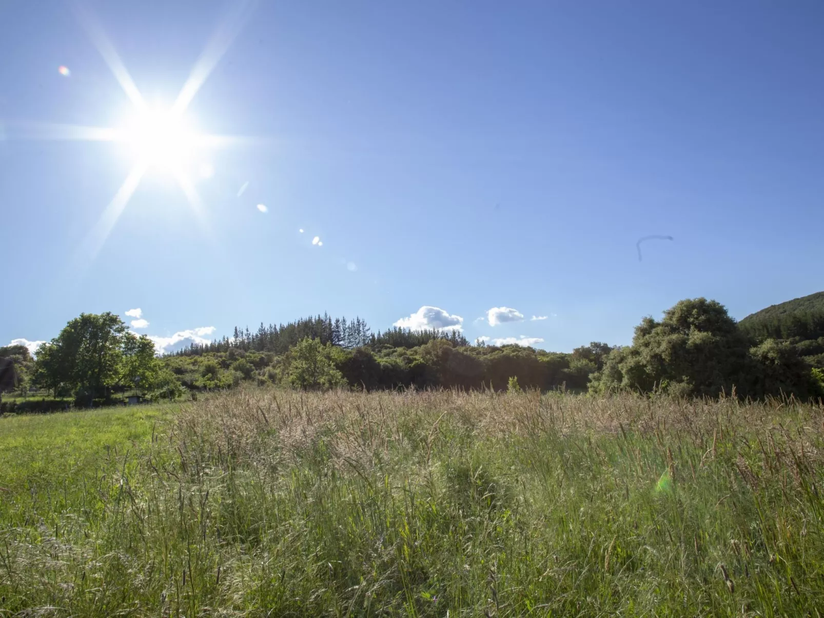 Ländliches Haus Médulas 2. für 4 PAX belegbar - Buiten
