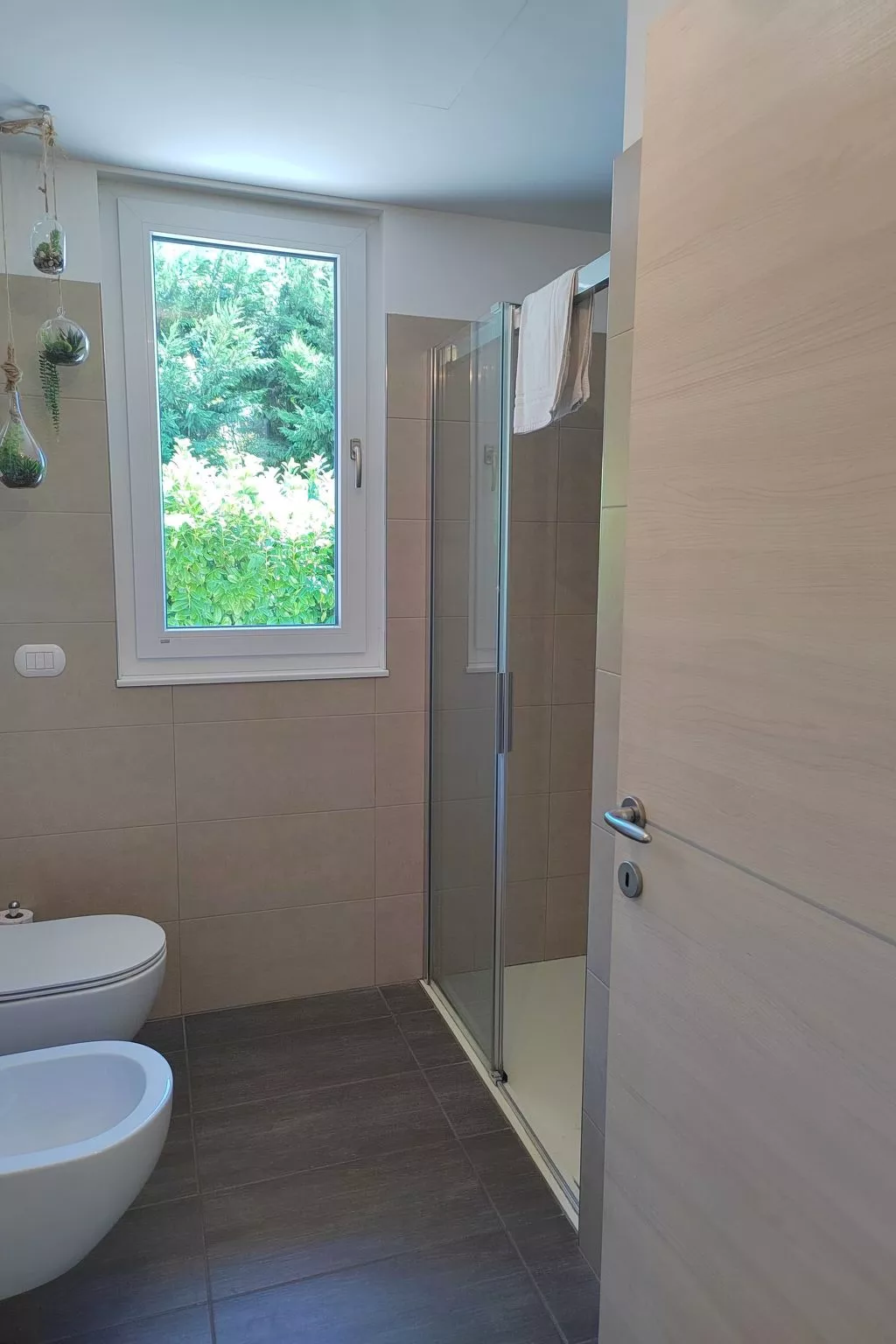 In einem spektakulären Olivenhain in einer ruhig - Image-tags.info