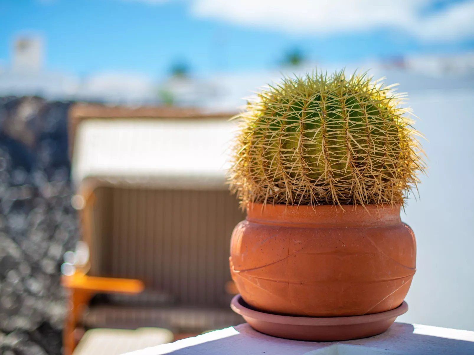 Mit Whirlpool - Buiten