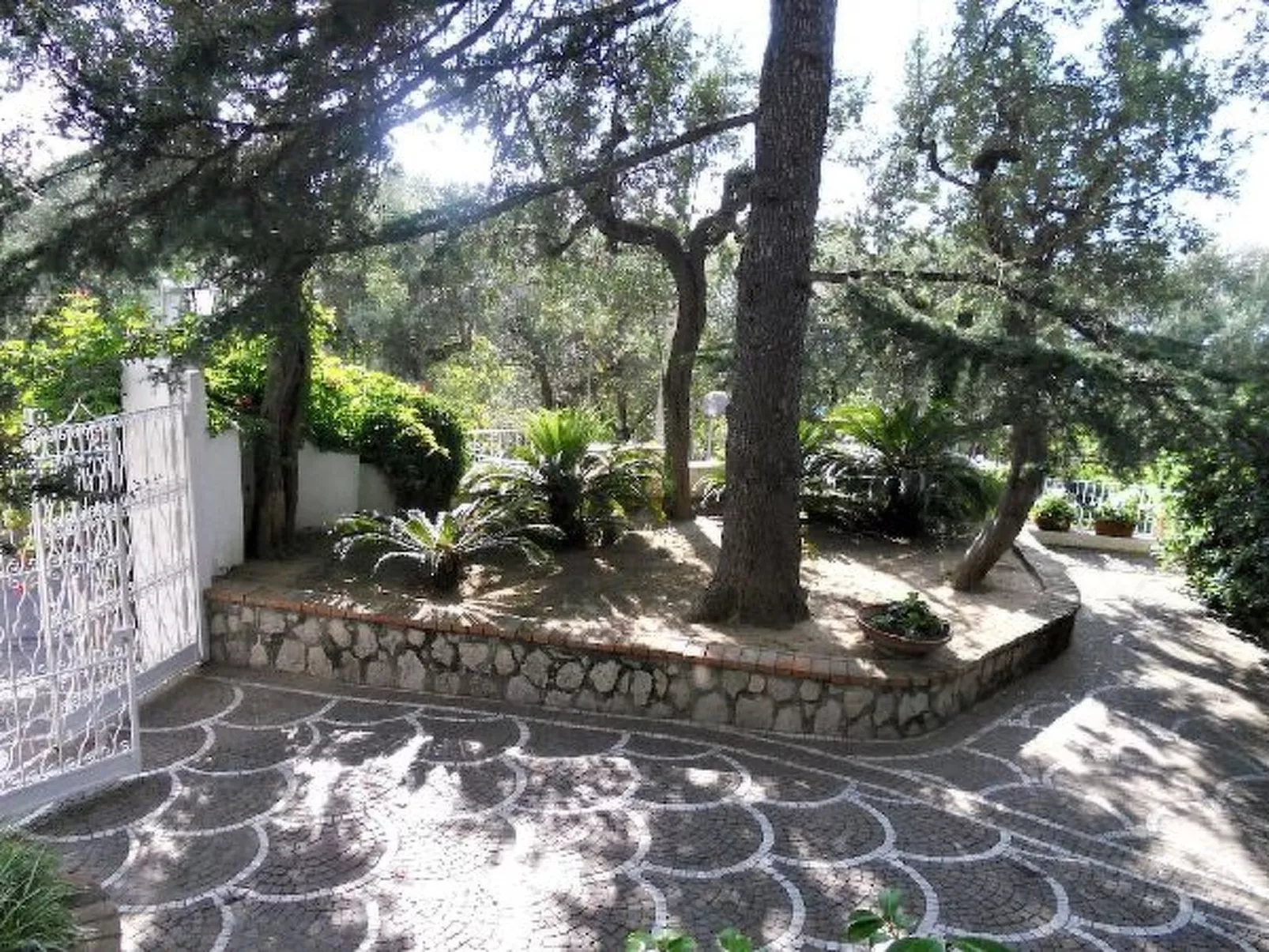 Villa le Olivine Less then 5 min to Sorrento - Image-tags.info