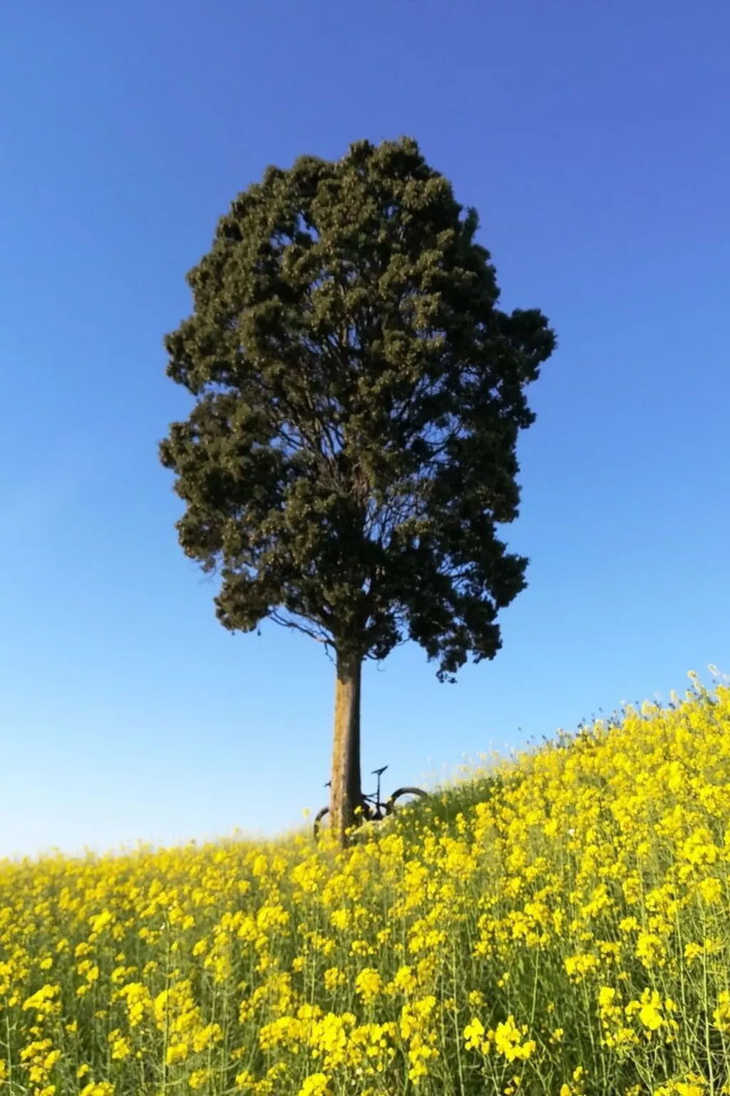 Villa Clair - Buiten