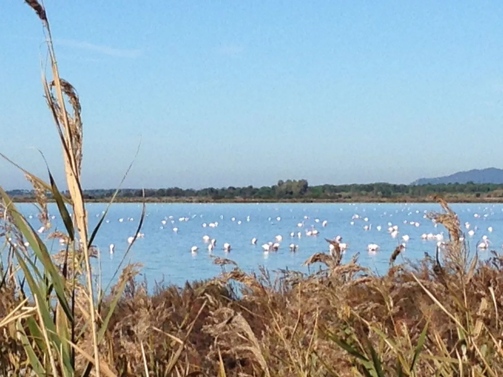 Ferienzimmer "Stern von Bethlehem Zimmer"'. - Buiten