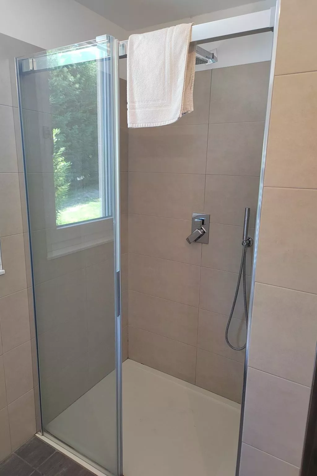 In einem spektakulären Olivenhain in einer ruhig - Image-tags.info