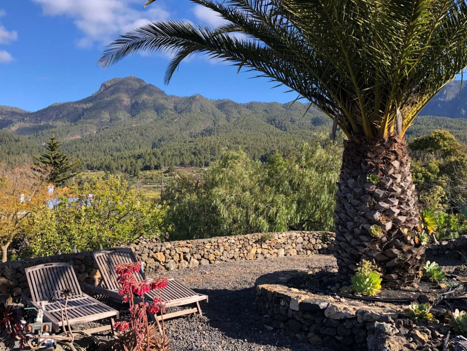 Las Tortugas - Buiten