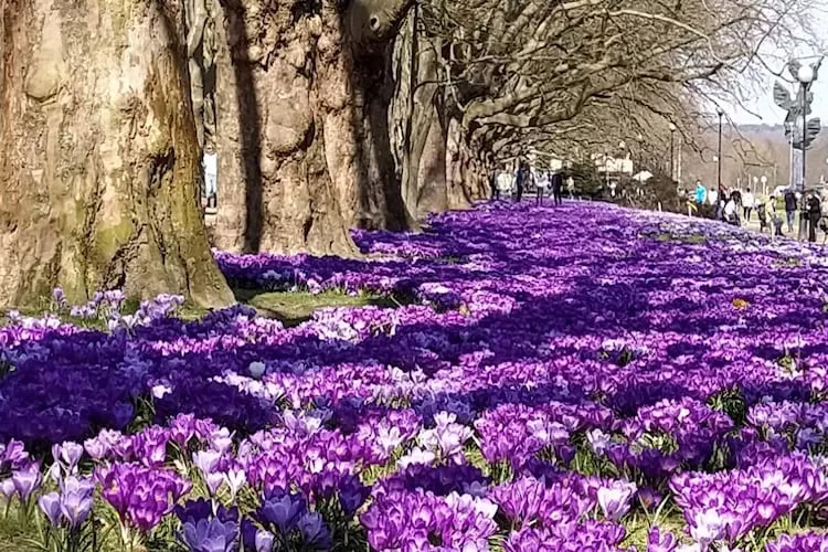 Holiday complex in Jezierzyce by Szczecin at the lake for 4 persons 30 qm Typ B Zielony - Gebieden zomer 20km