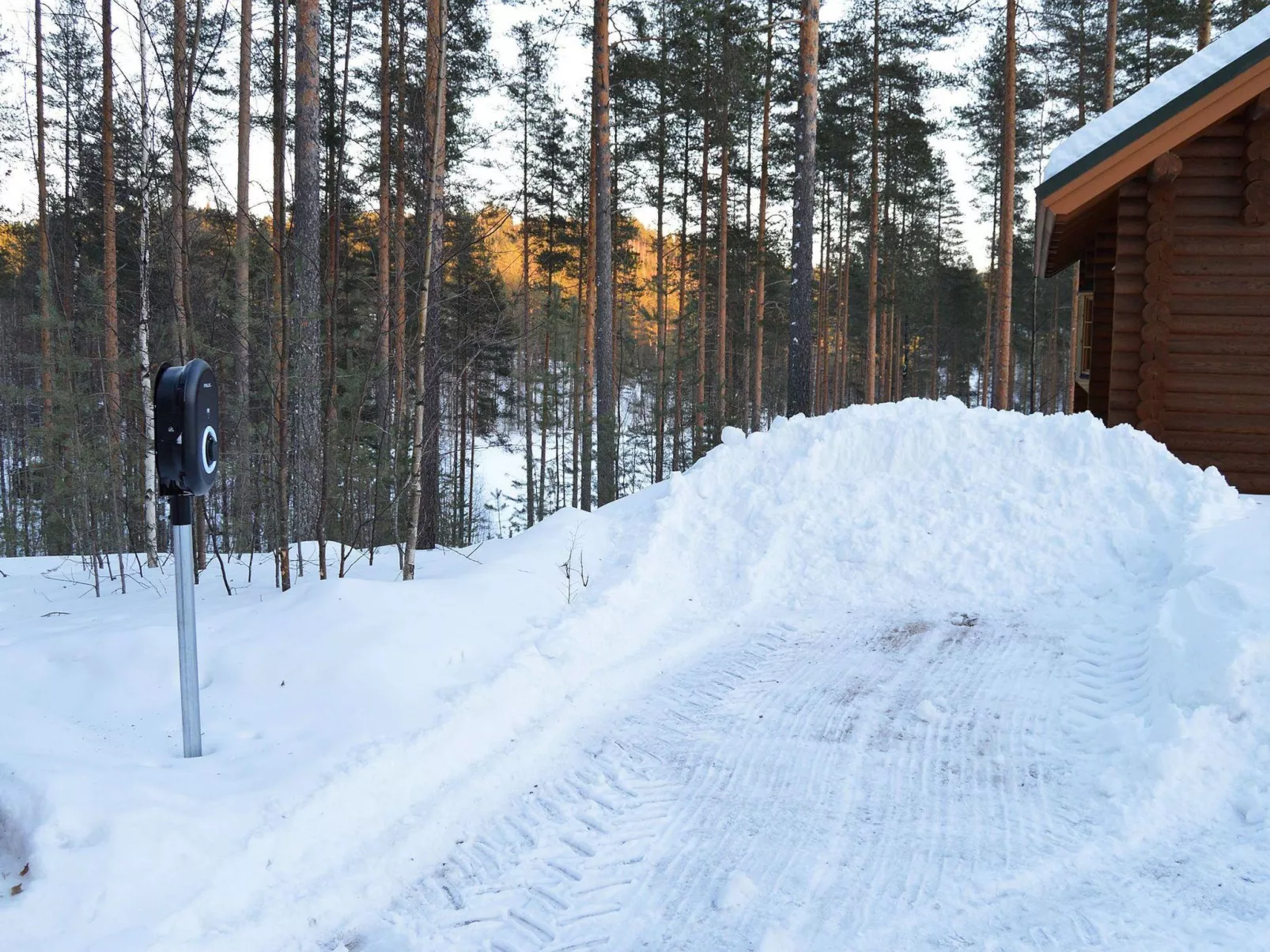 Villa tunturitervakko - Binnen