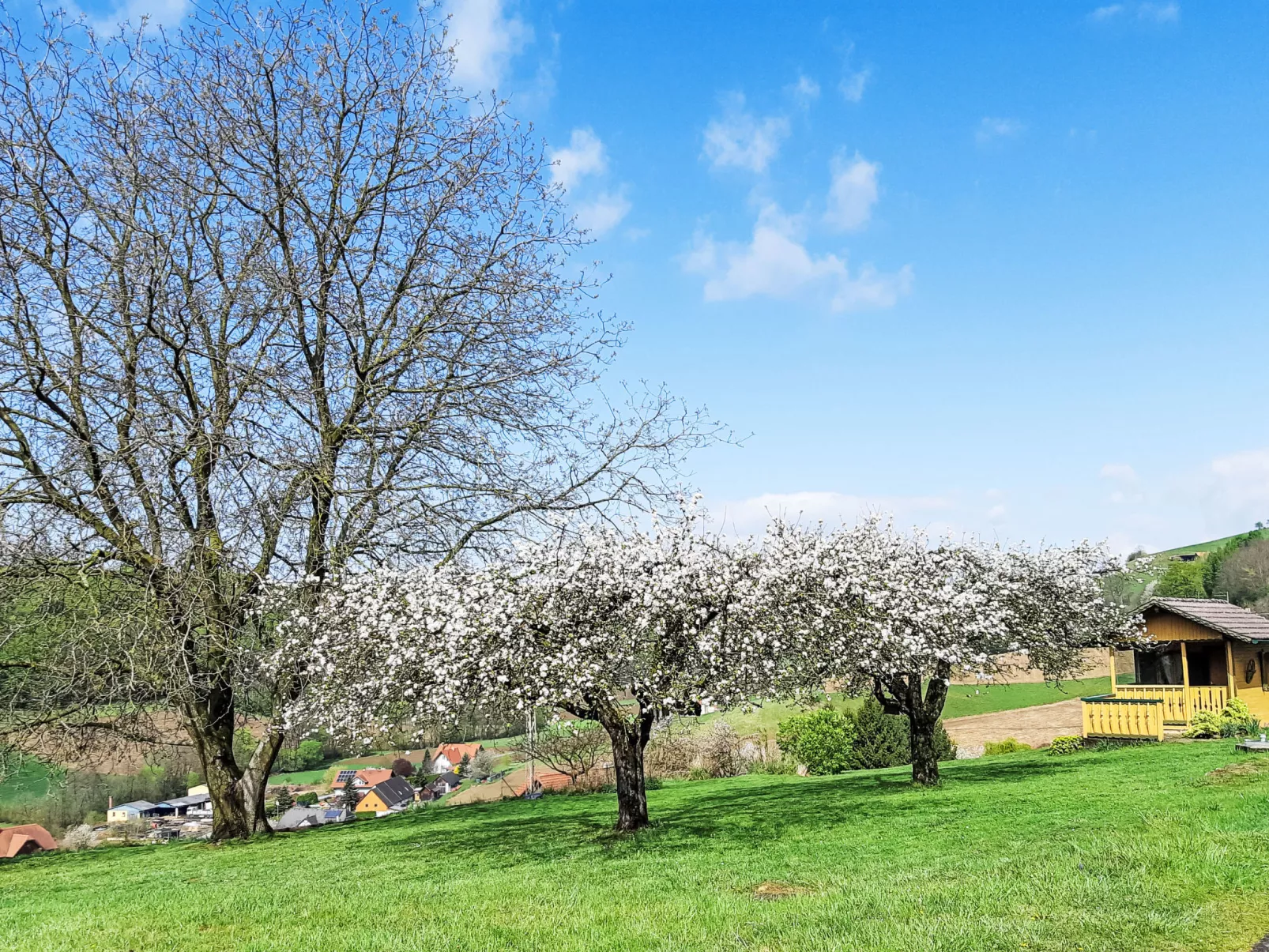Ferienhaus am Meißlberg - Buiten