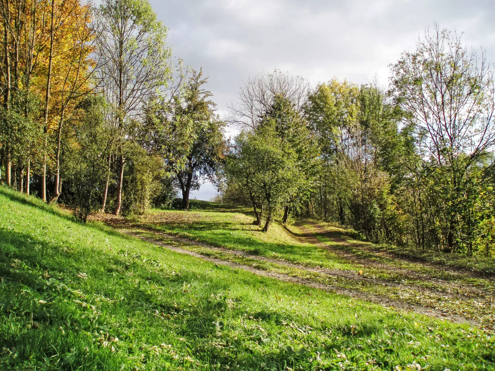Green Valley Park Stárkov 15 - Buiten