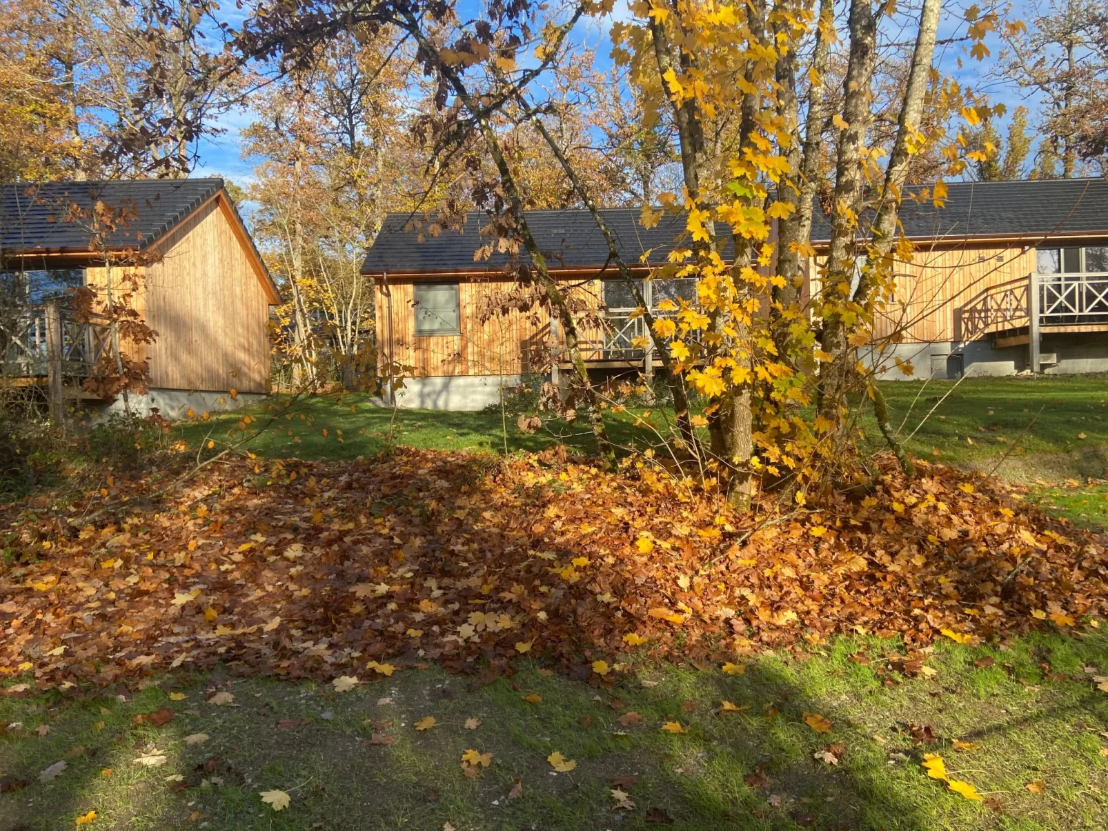 Modernes Chalet für 4 Personen in einem Waldpark - Image-tags.info