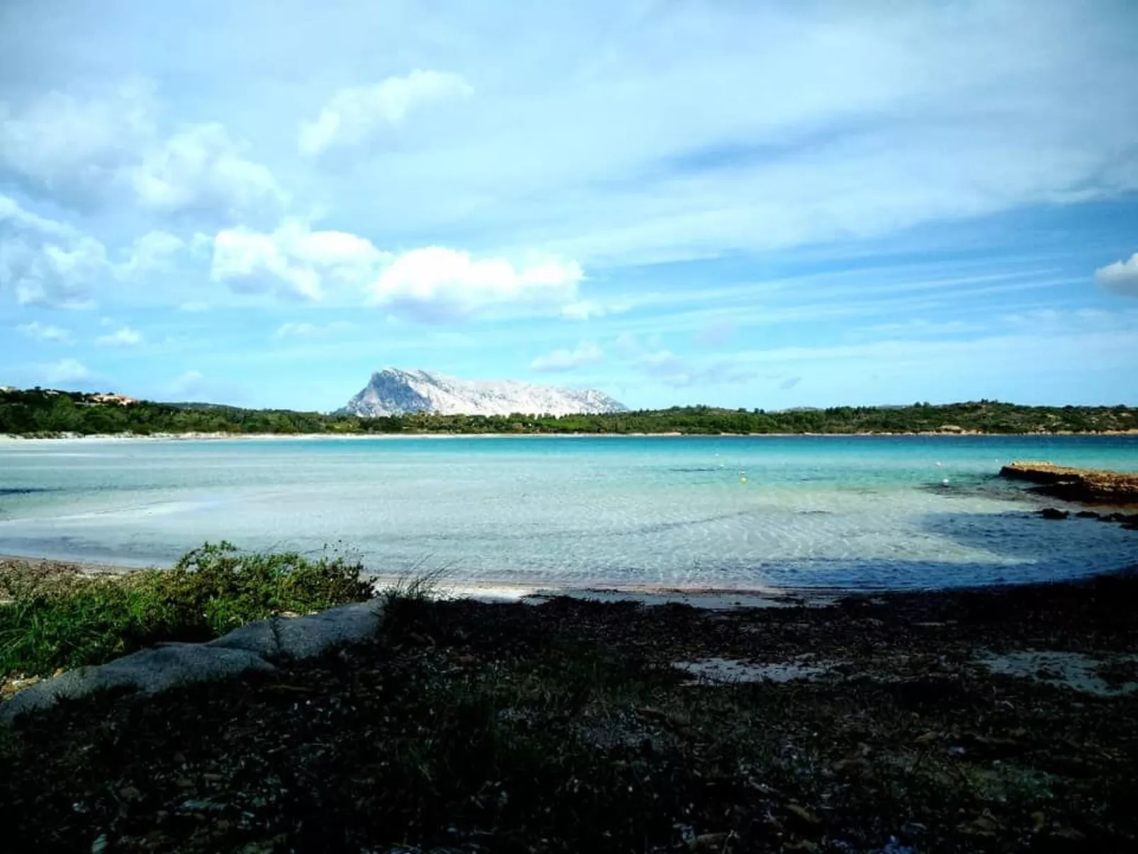 Tenuta 'Olivo Suite' mit Terrasse - Buiten