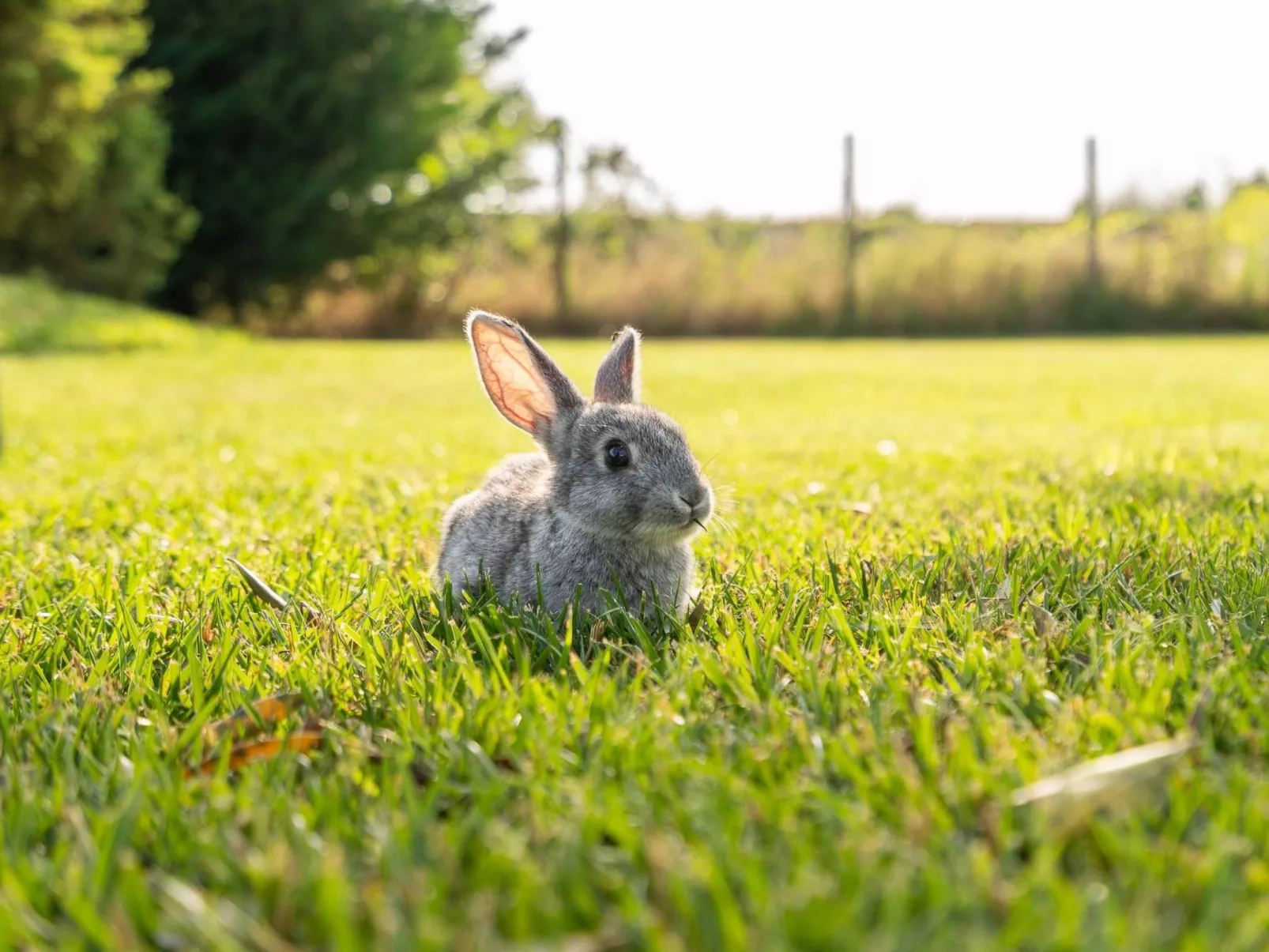 Zimmer mit Bad in einer Einrichtung mit Wellness-Center - Image-tags.info