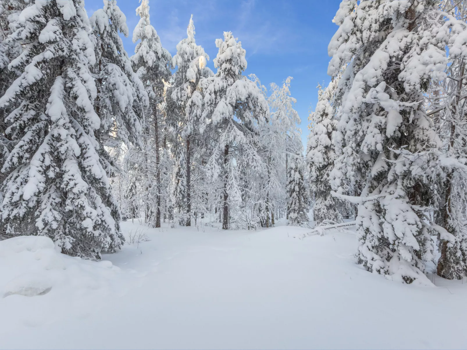 Katajamäki - Binnen