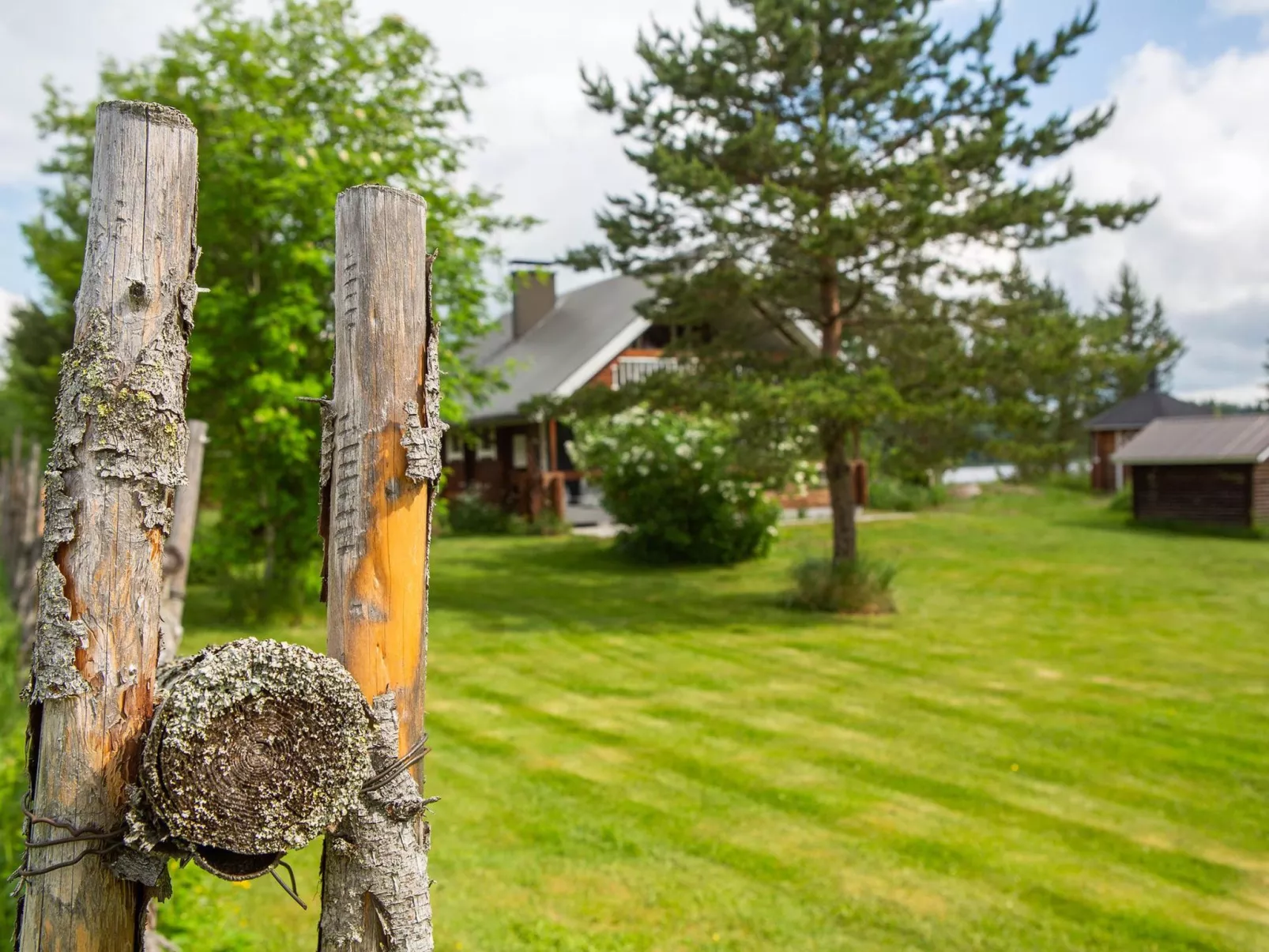 Ranta-lemettilä - Binnen