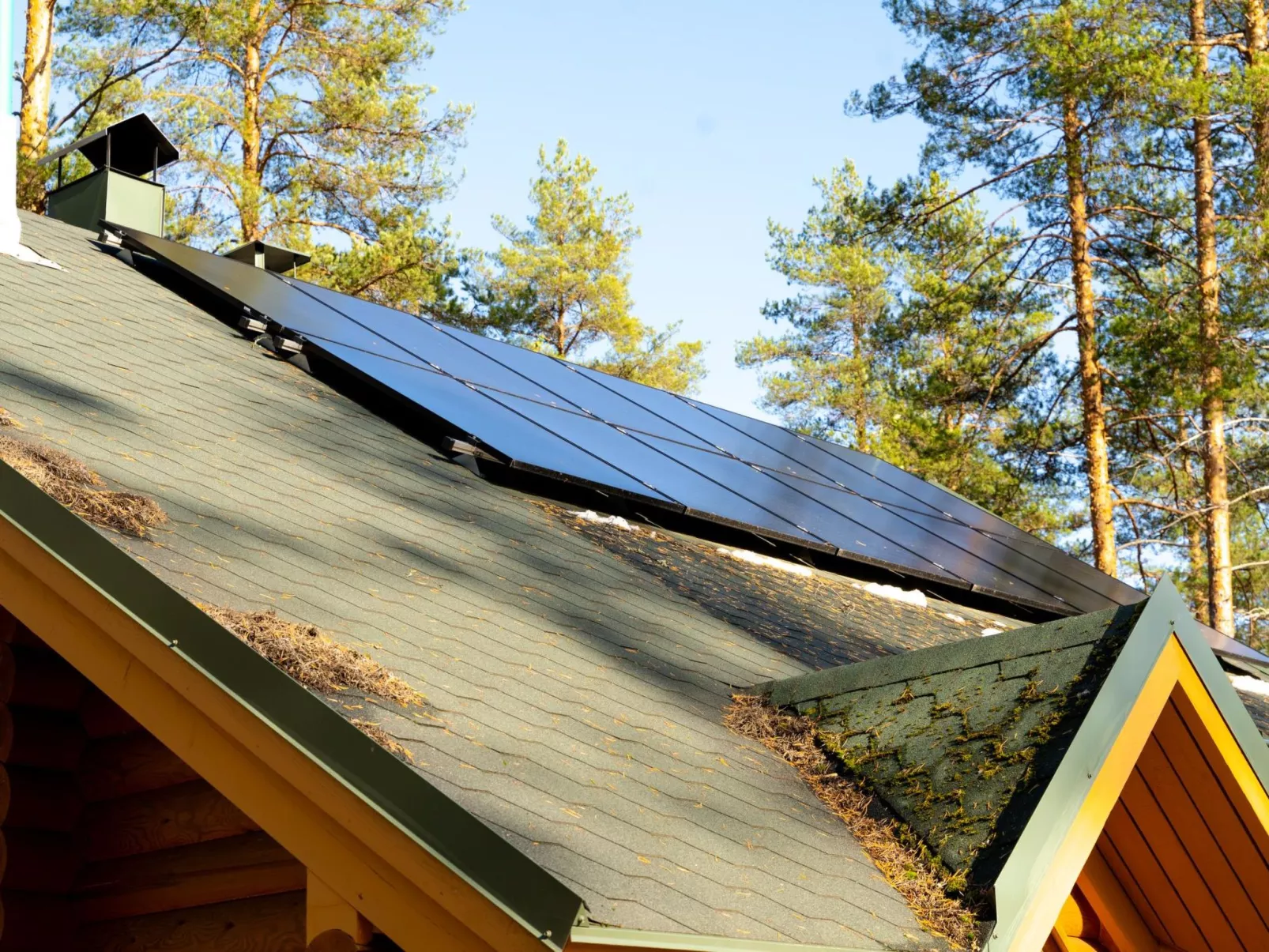 Villa tunturitervakko - Binnen