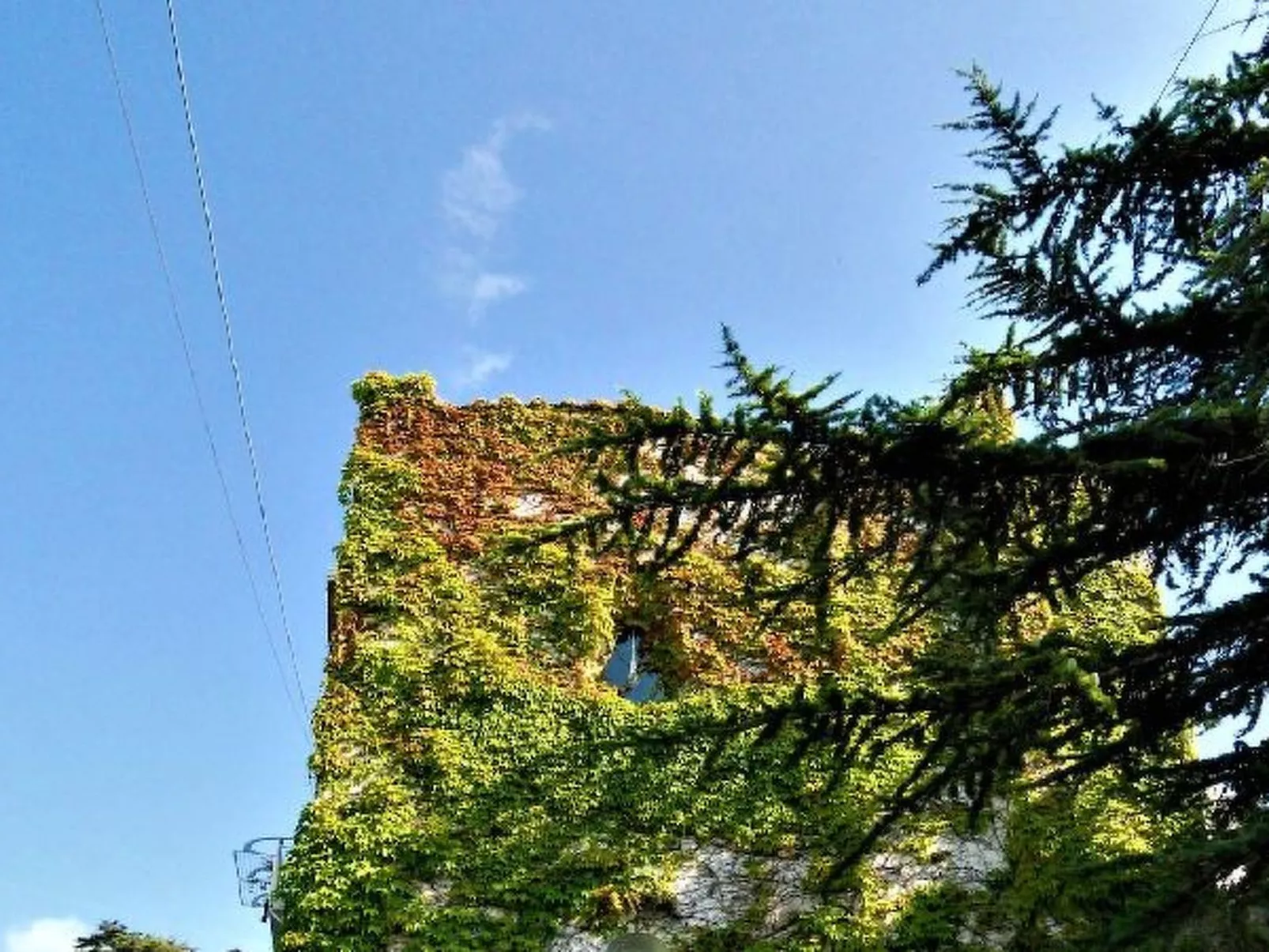 Villa le Olivine Less then 5 min to Sorrento - Image-tags.info