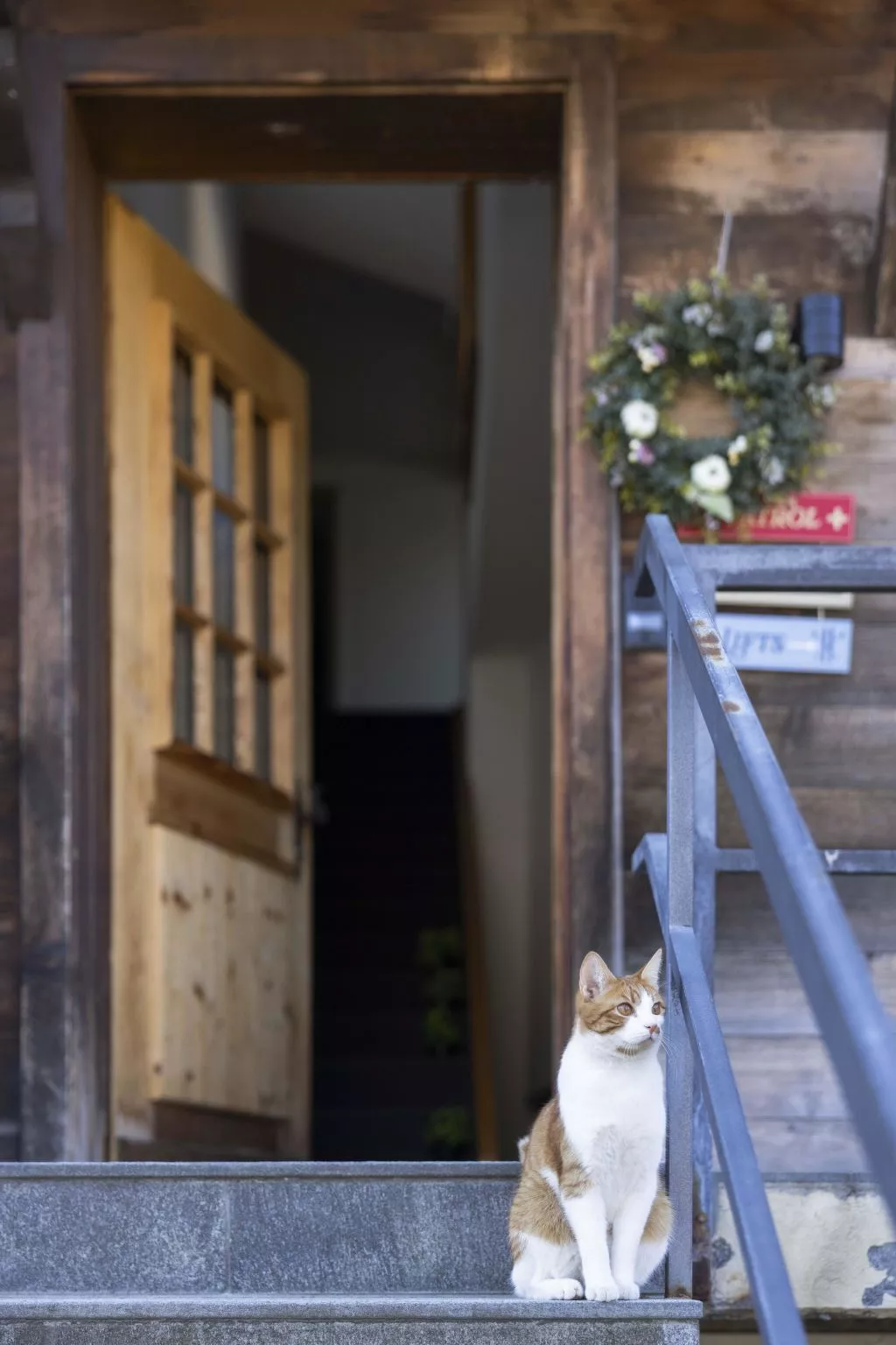 Baren Penthouse - Binnen