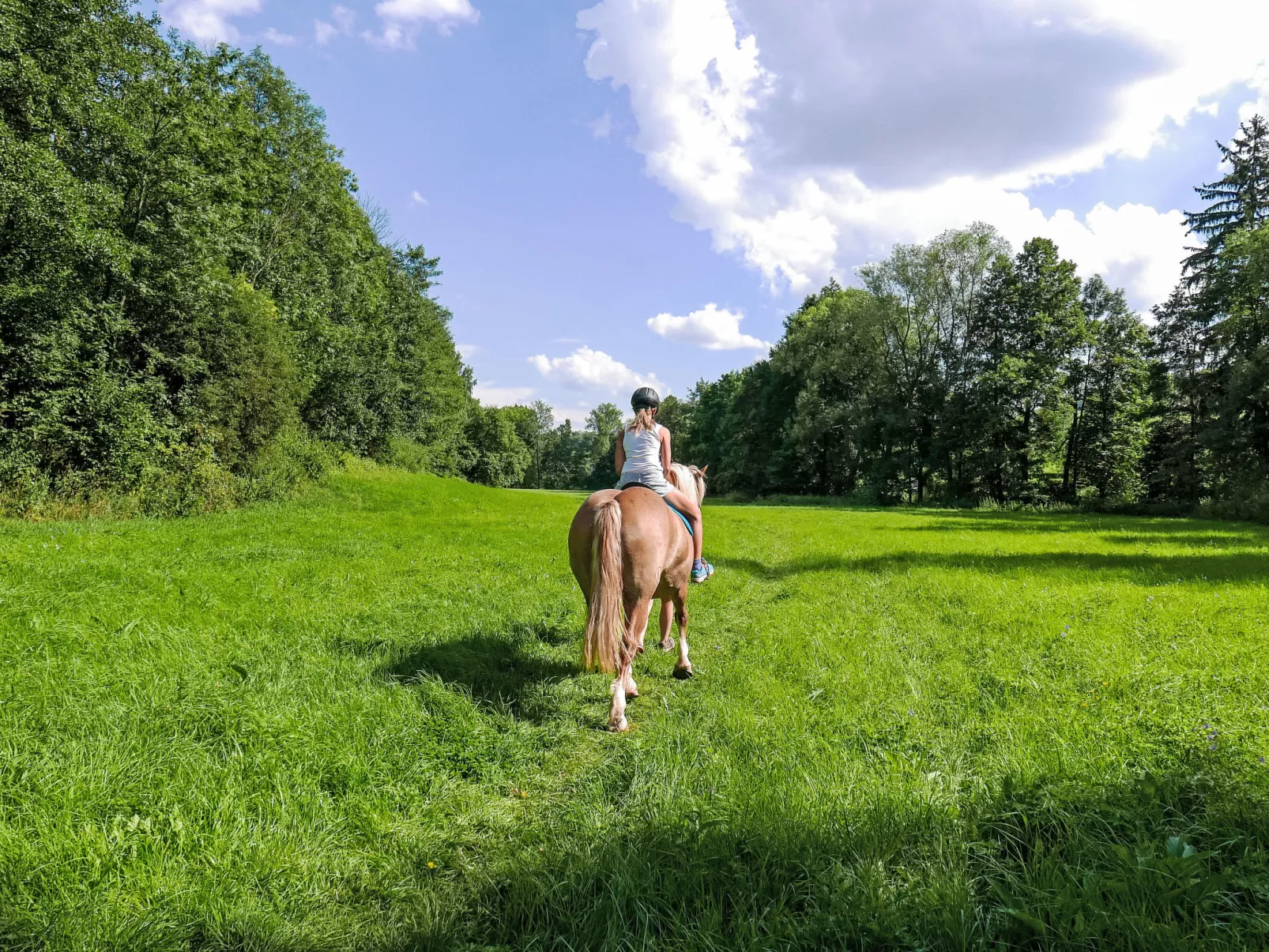 Green Valley Park Stárkov 15 - Buiten