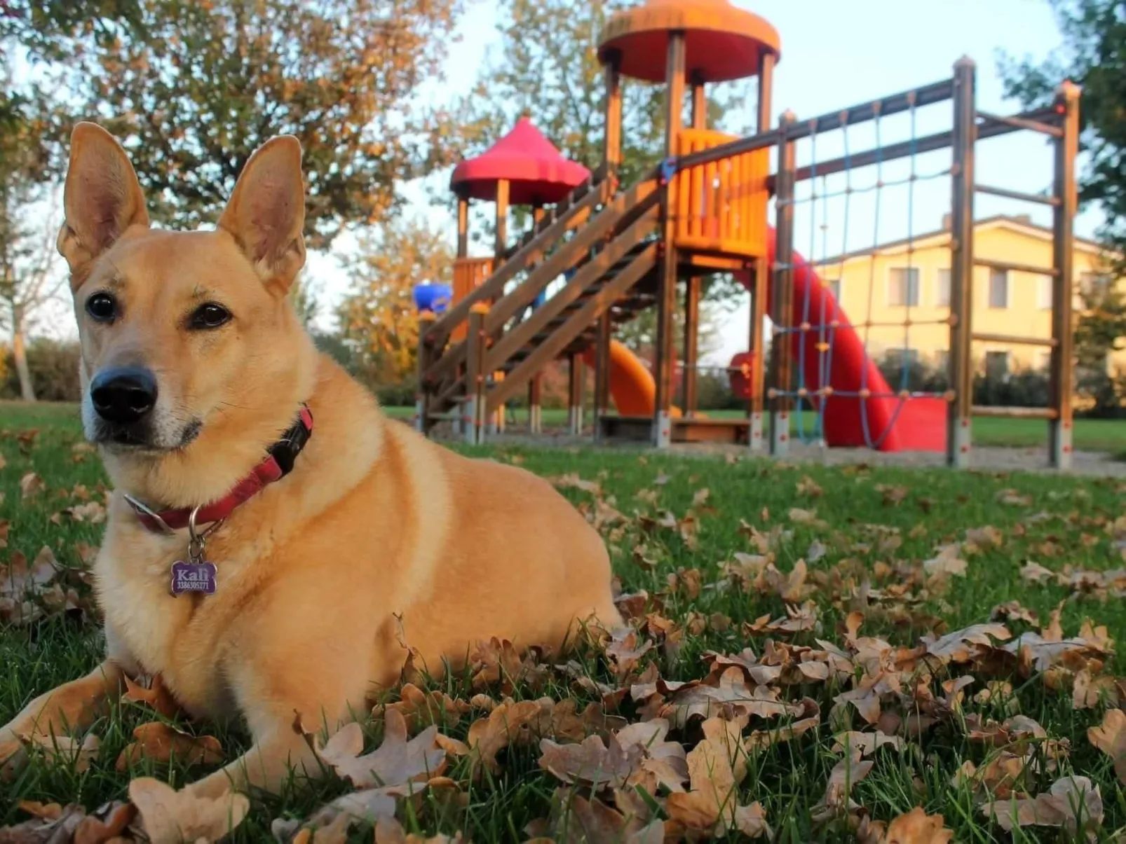 Wohnung "Lavanda" mit Privatparkplatz - Image-tags.info