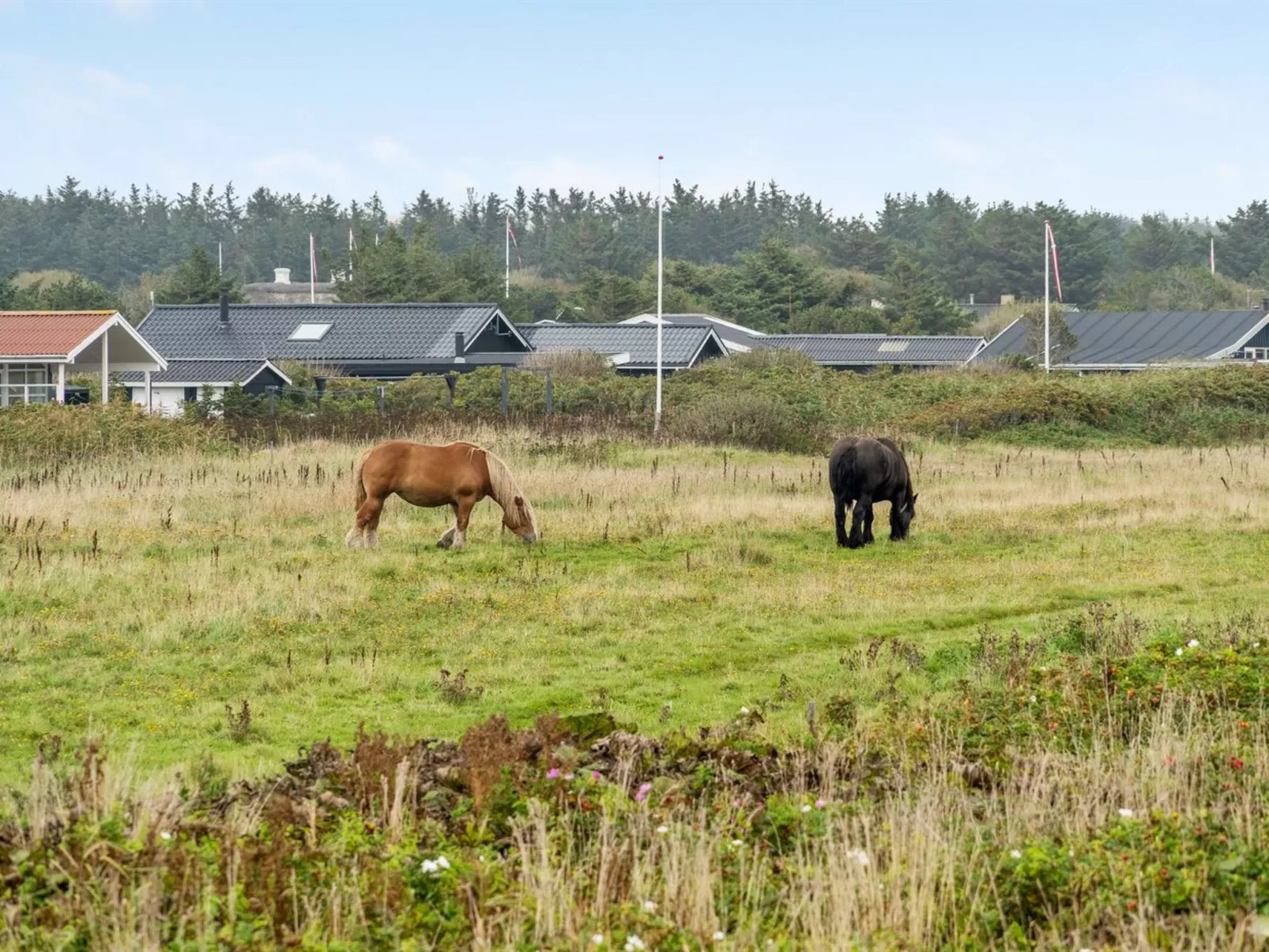 "Helma" - 200m from the sea - Buiten