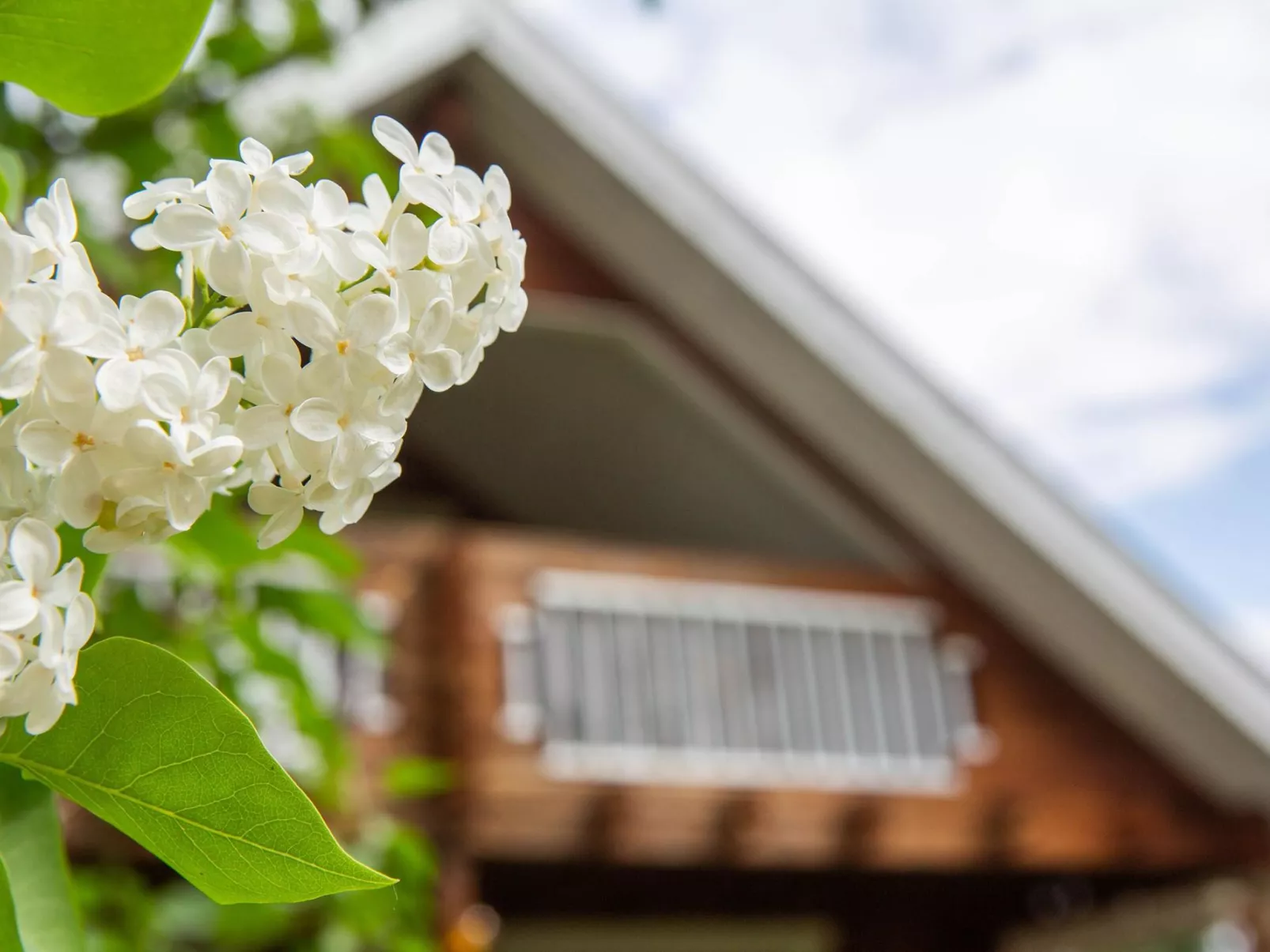 Ranta-lemettilä - Binnen