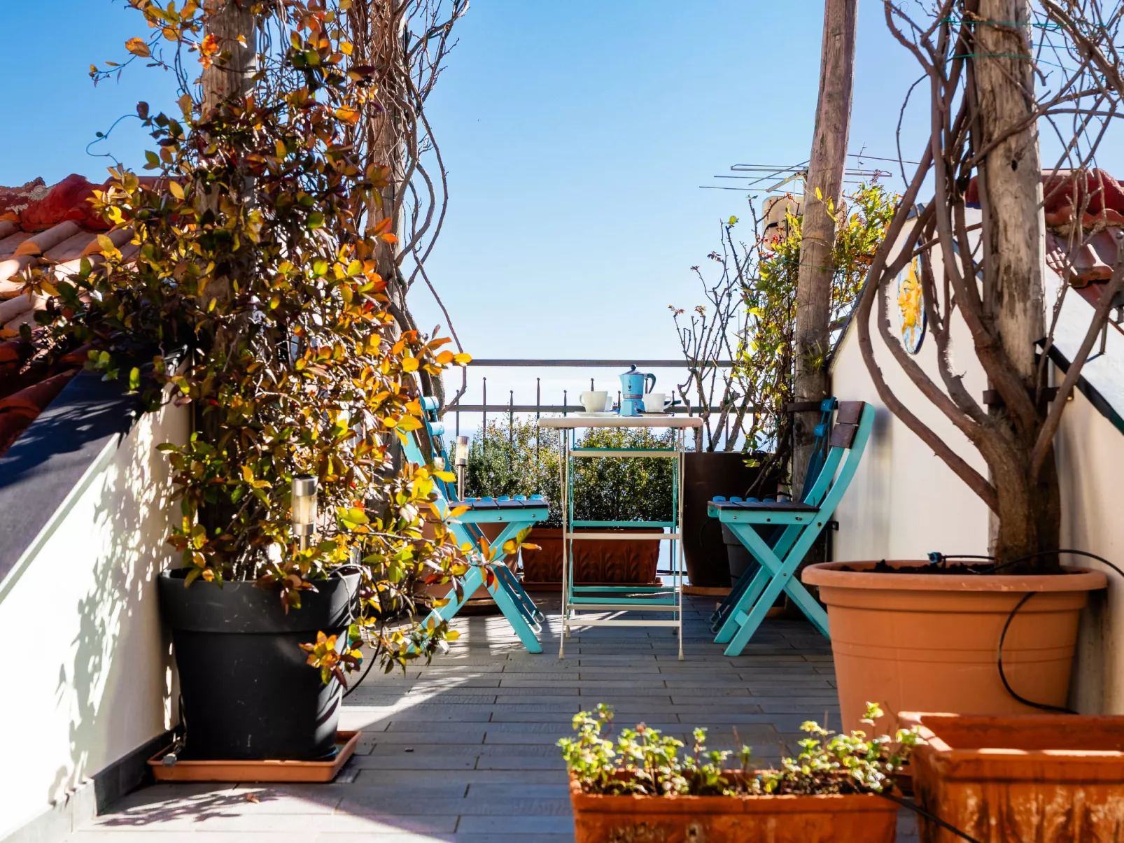 Terrazza con glicine - Buiten