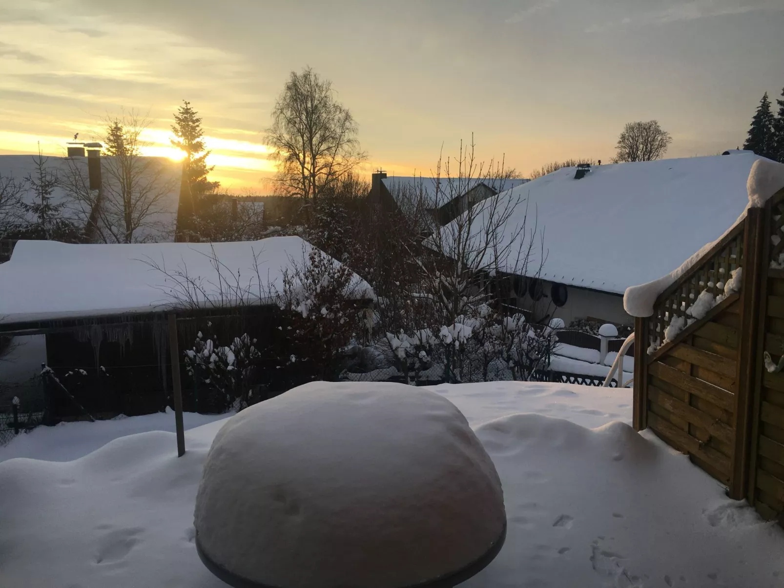 Tanne - Image-tags.info