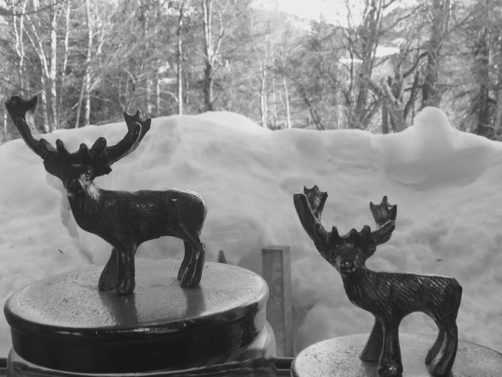 Kräuterhof-Ferienwohnung - Buiten