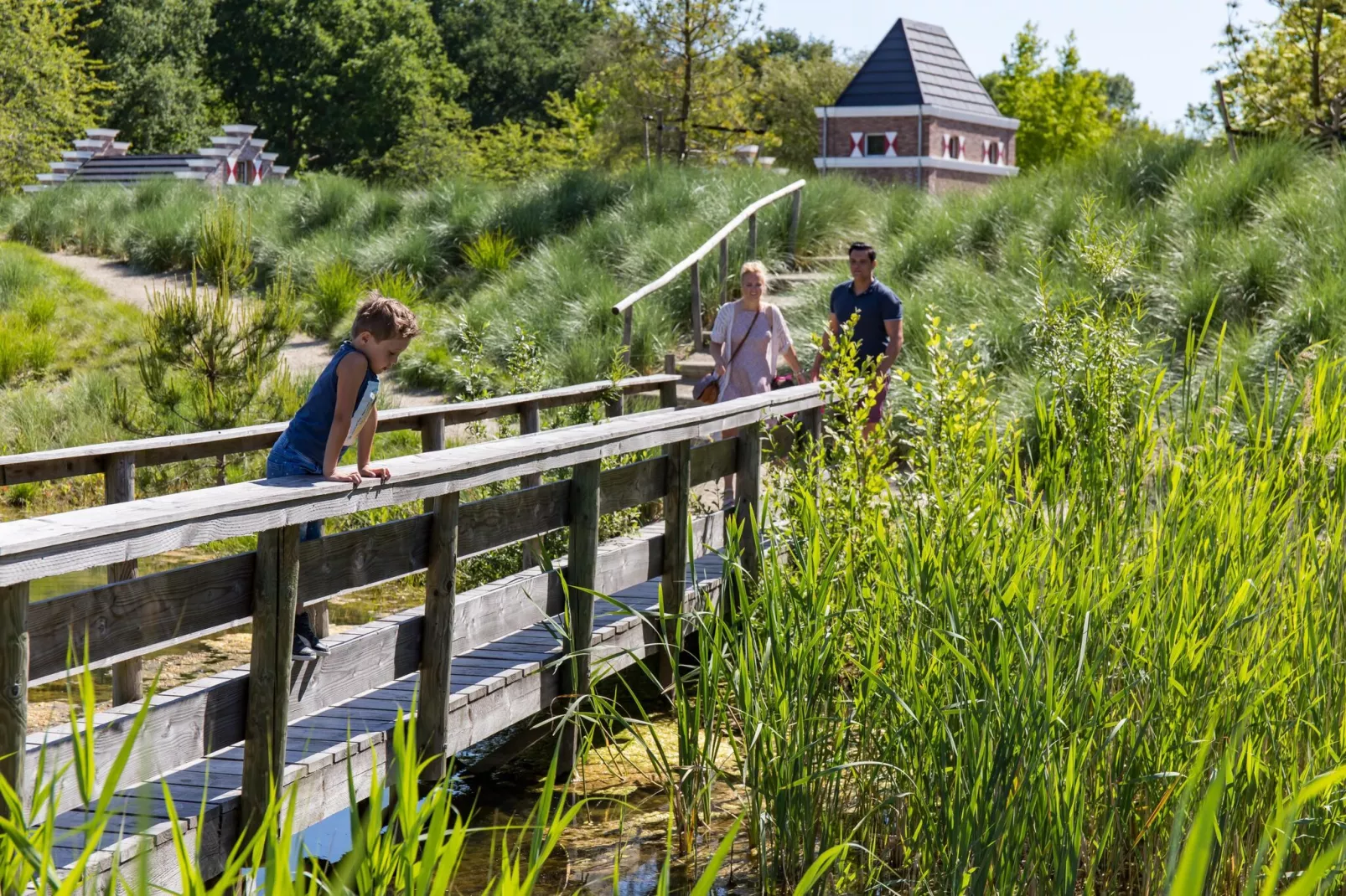 Resort Zuiderzee 9-Gebieden zomer 1km