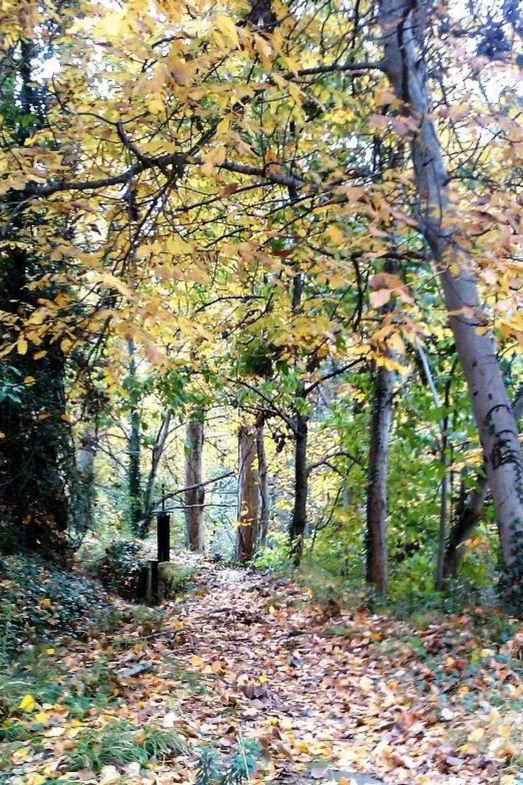 Ländliches Haus Ruralmedulas, 10 Personen - Buiten