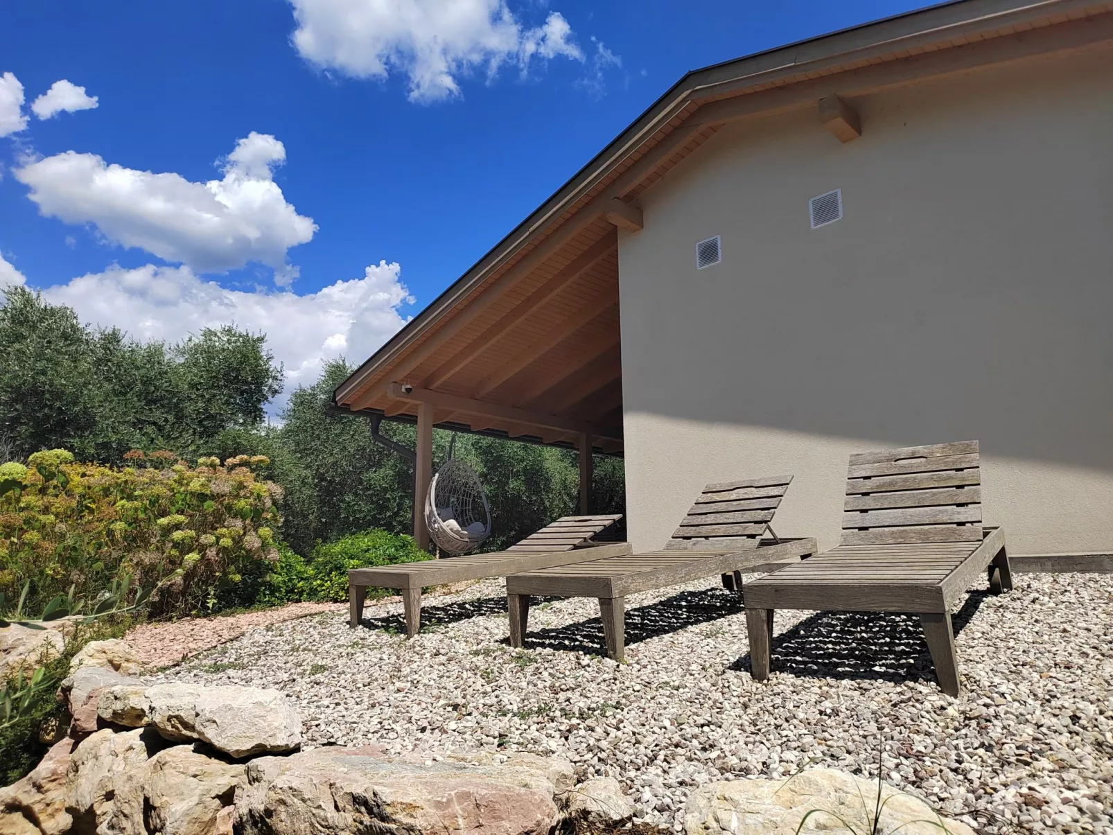 In einem spektakulären Olivenhain in einer ruhig - Image-tags.info