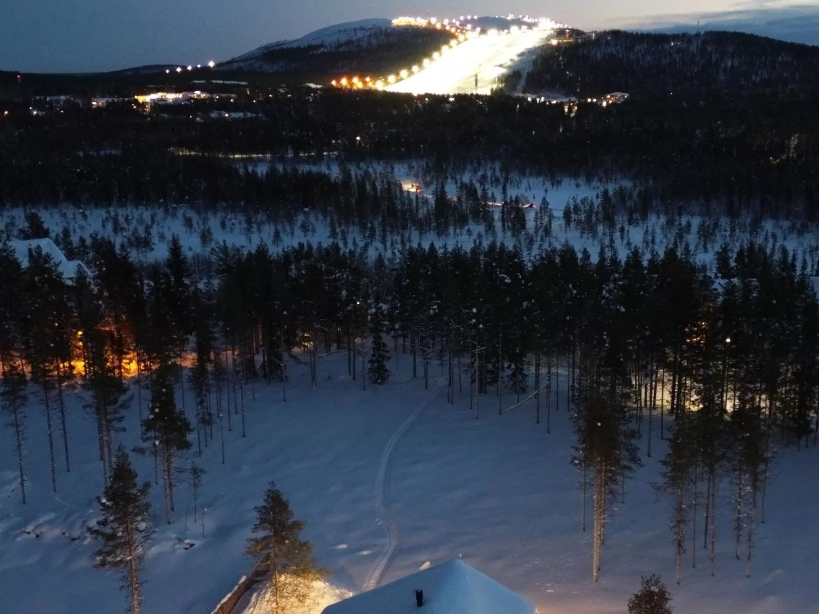 Röllimetsä d 11 - Binnen