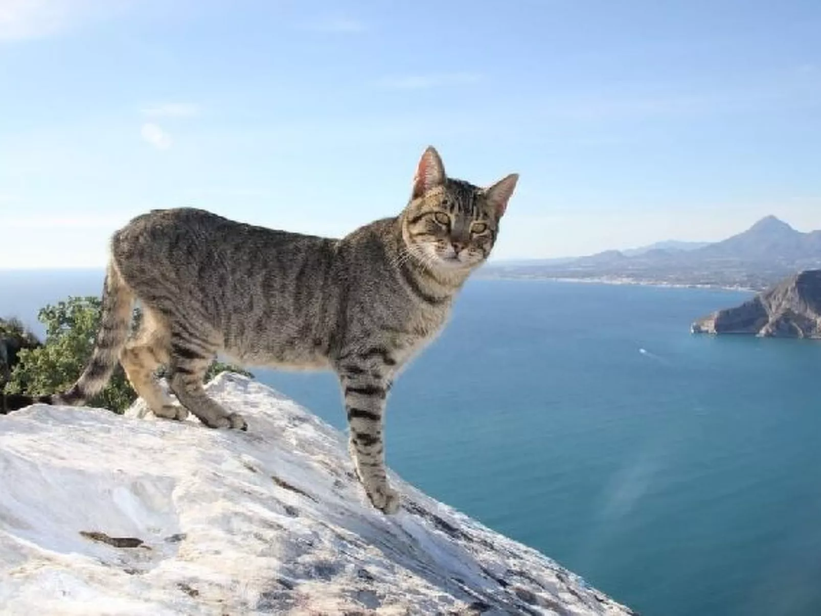 Apartment Cuellar 1 - PlusHolidays - Image-tags.info