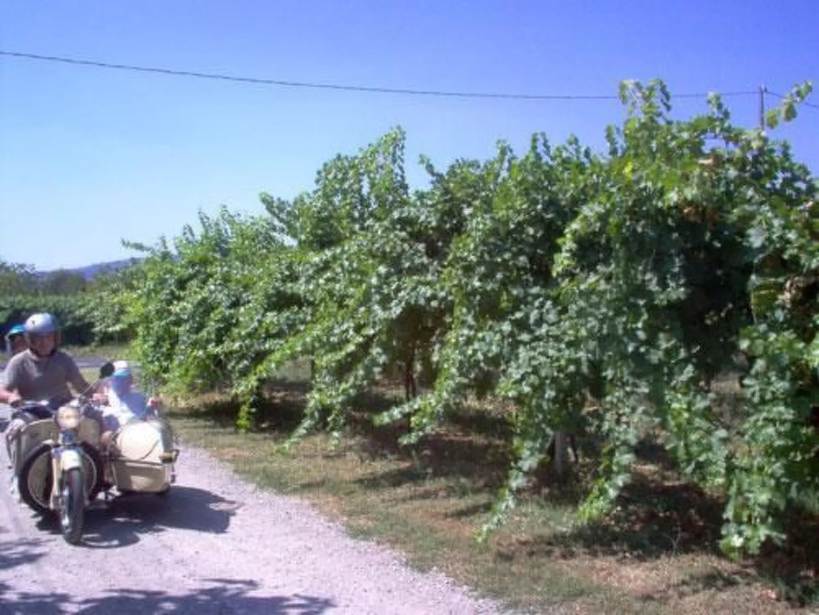 Wohnung "Angelica" auf einem Bauernhof - Image-tags.info