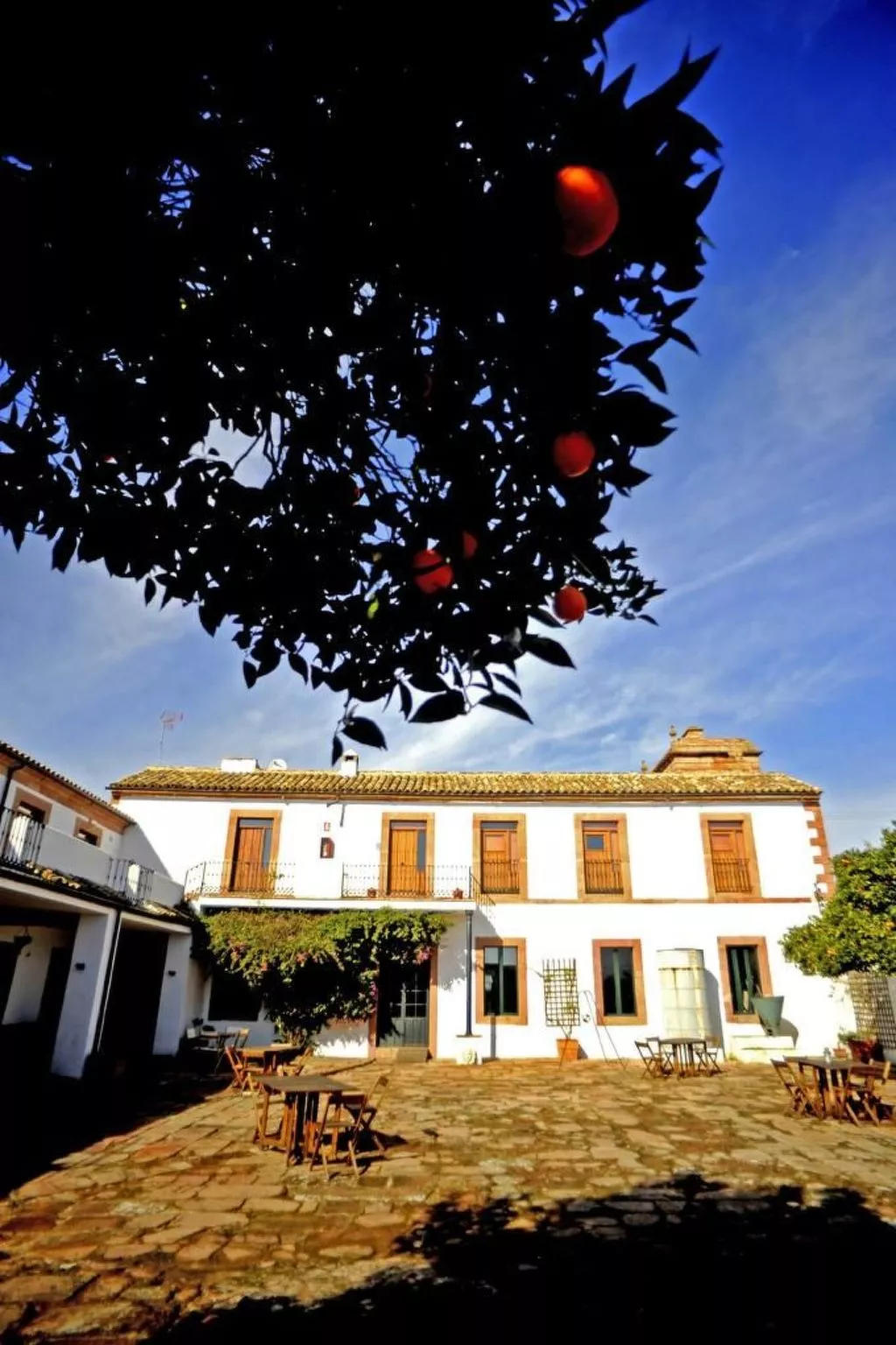 Zimmer Molino la Nava - Buiten