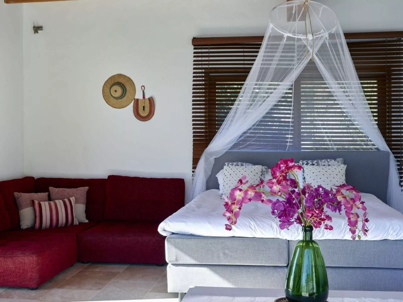 Can Managua - Image-tags.info