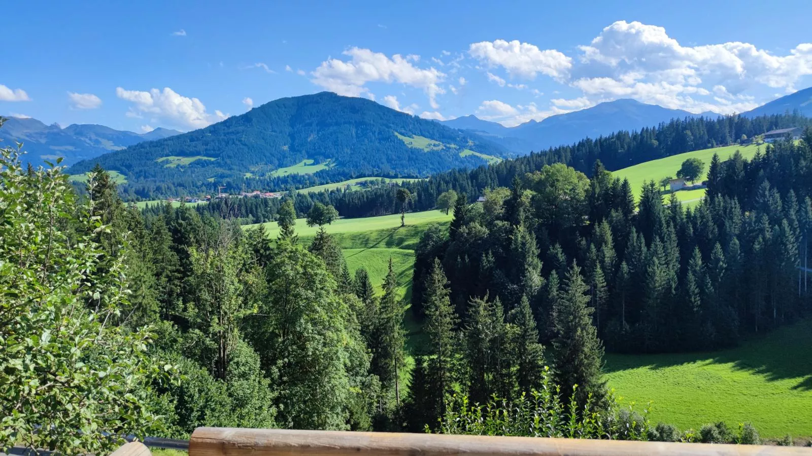 Landhaus Platzl-Uitzicht zomer