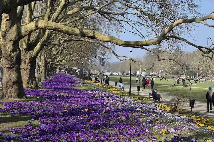 Holiday complex in Jezierzyce by Szczecin at the lake 30 qm for 4 persons Typ C Zolty - Gebieden zomer 20km