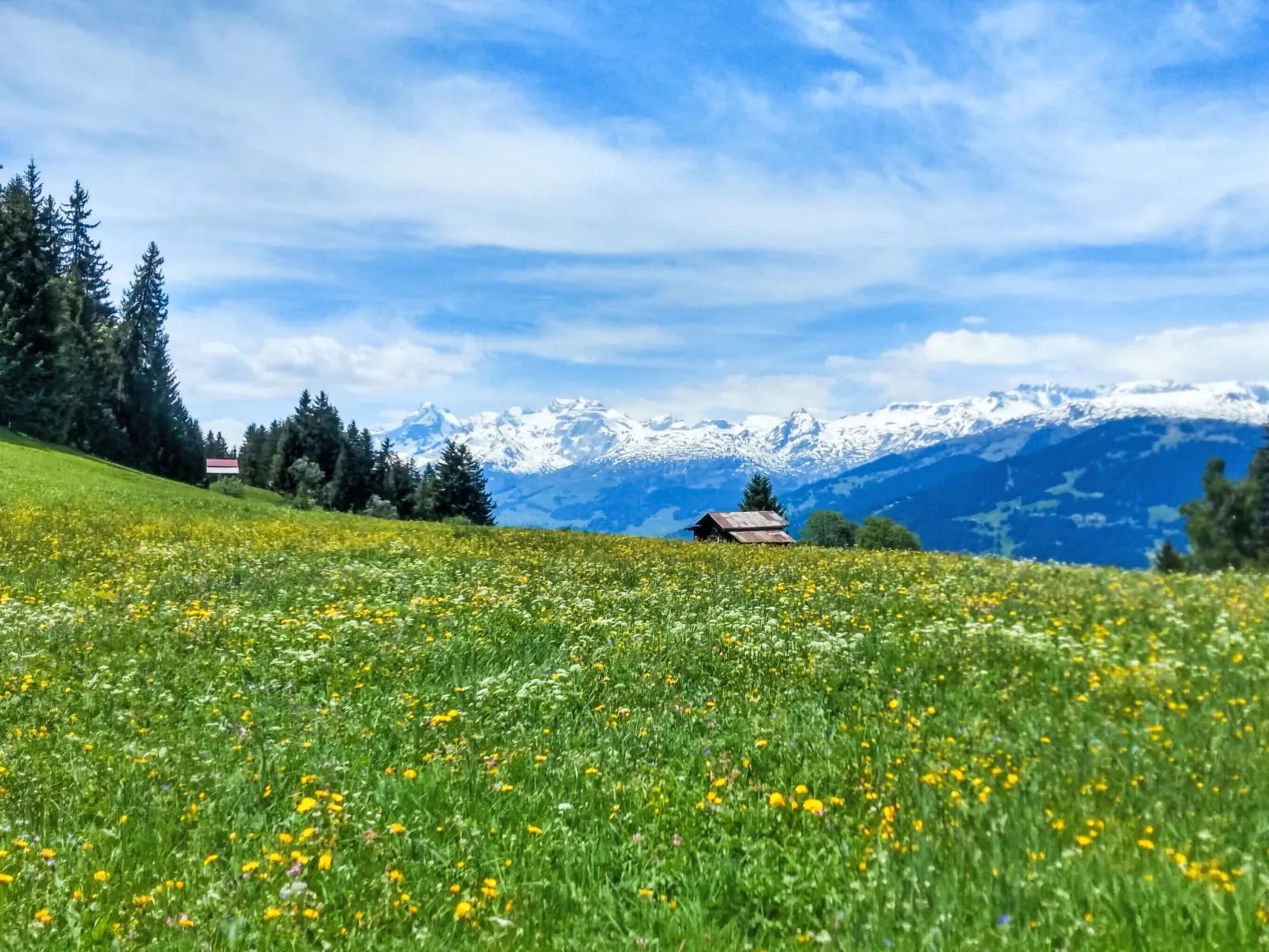 Chalet mit Bergsicht - Buiten