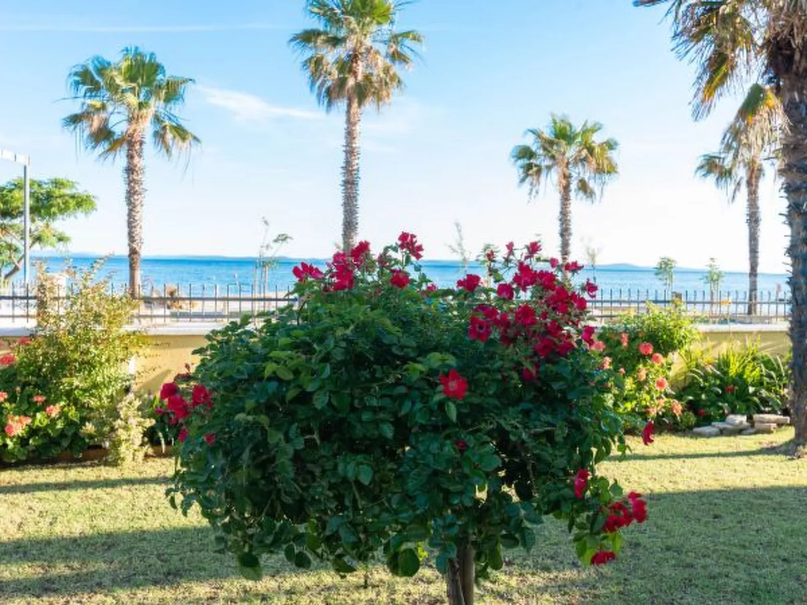 Holiday Apartment Inga Brown with exit to the beac - Image-tags.info