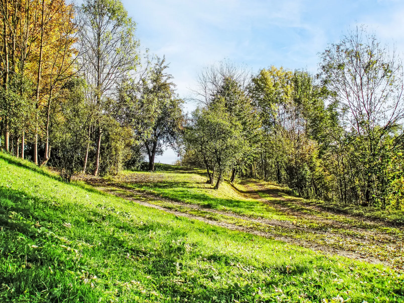 Green Valley Park Stárkov 9 - Buiten