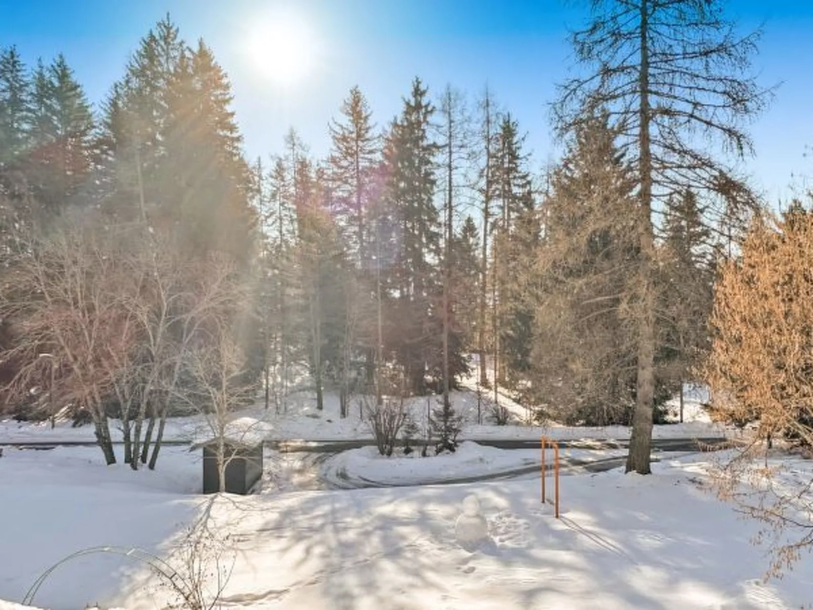 Chalet Les Girolles - Anzère - Buiten